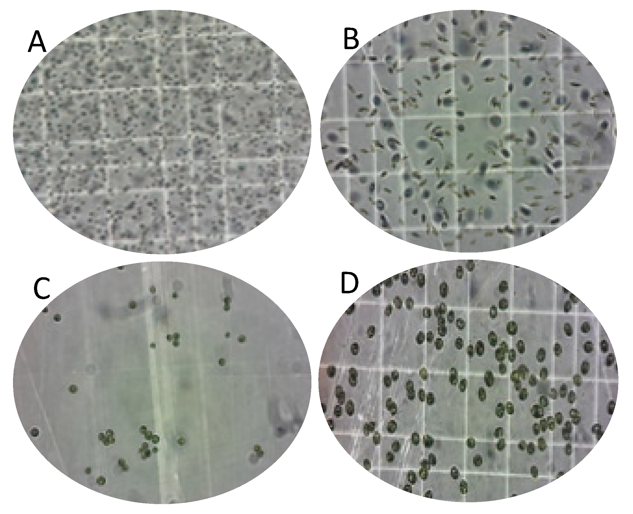 Foods 09 01601 g004 Foods 09 01601 g004