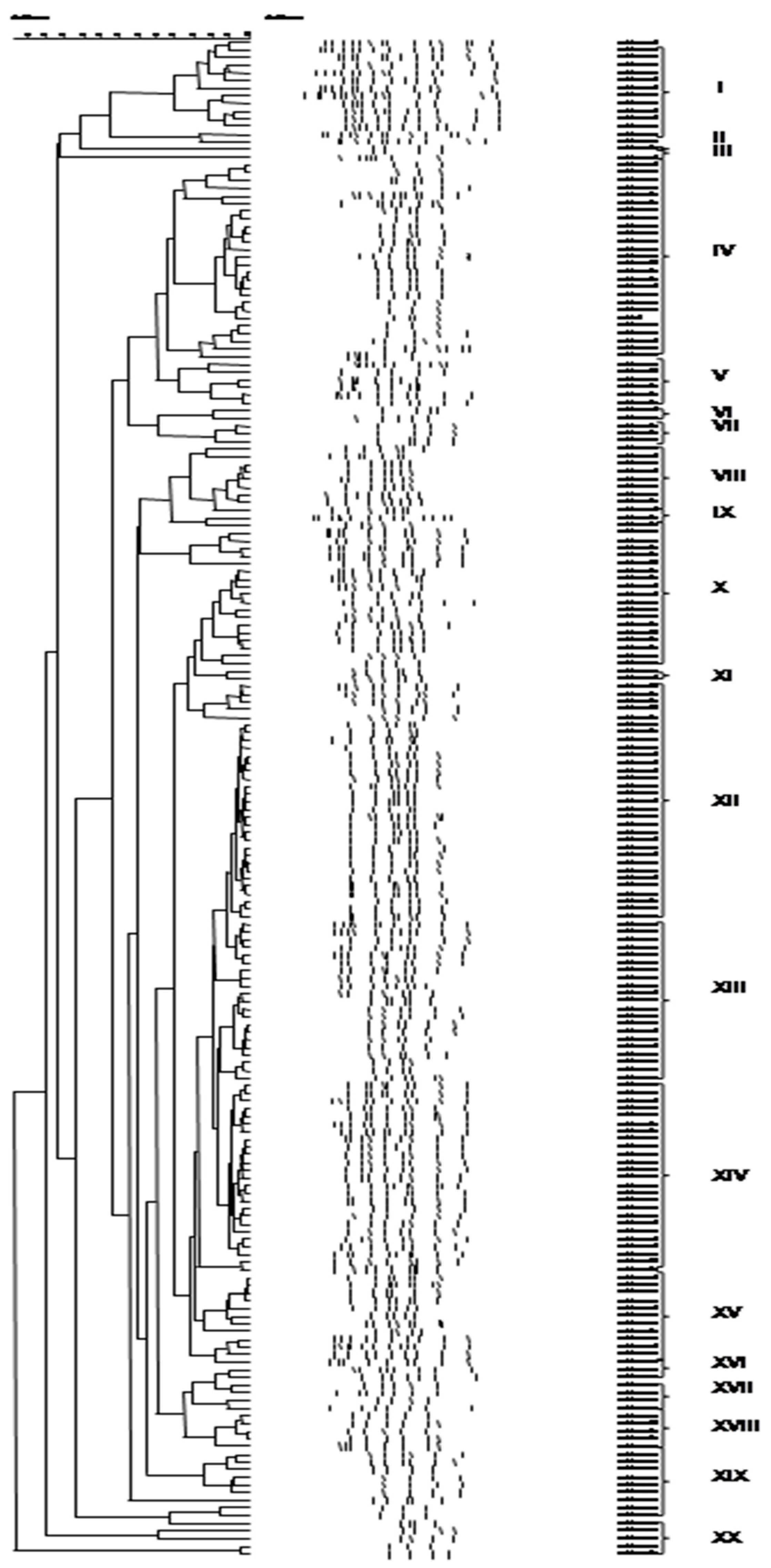 Foods 09 01603 g003 Foods 09 01603 g003