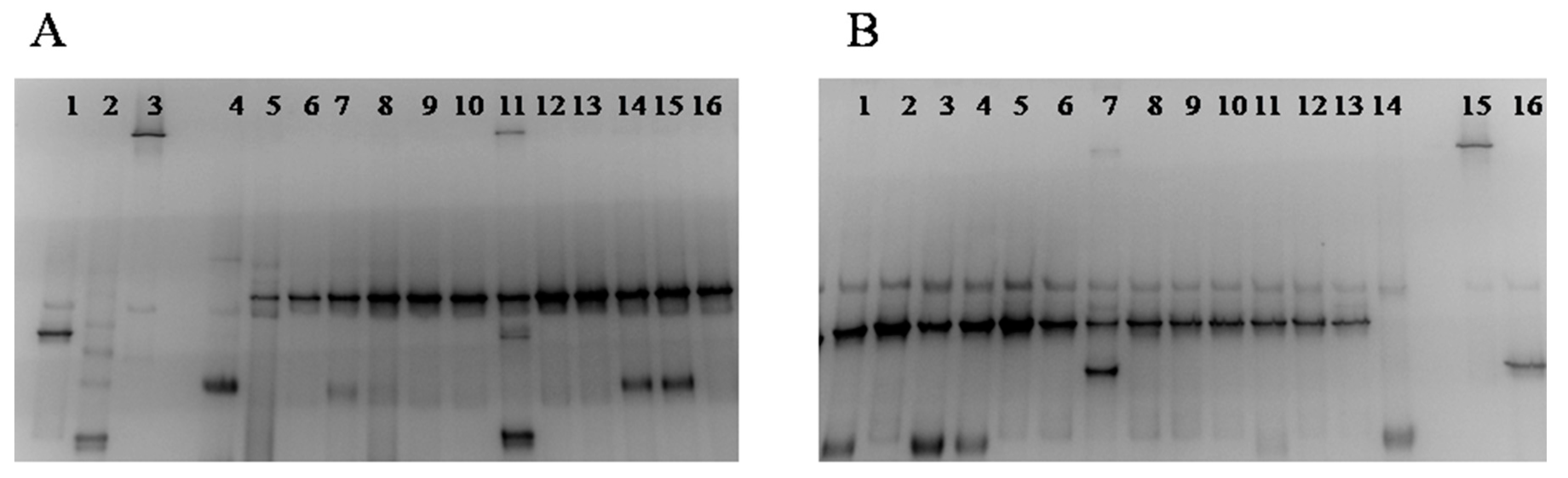 Foods 09 01603 g007 Foods 09 01603 g007