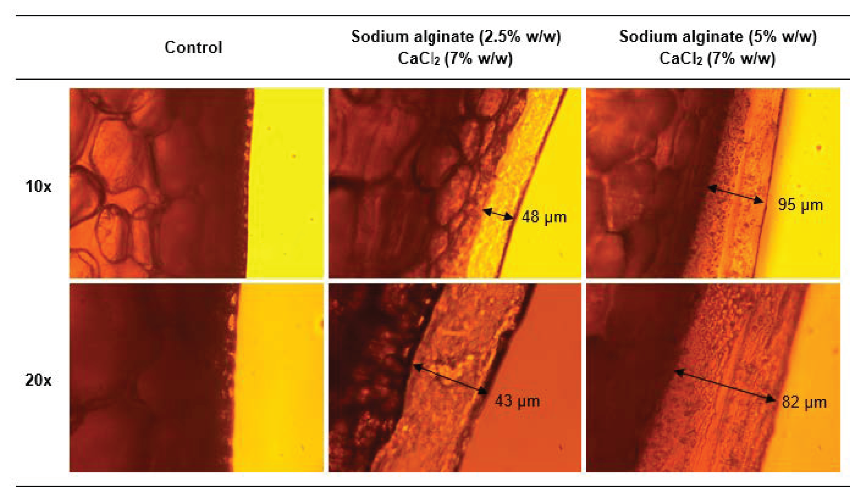 Foods 09 01605 g002 Foods 09 01605 g002