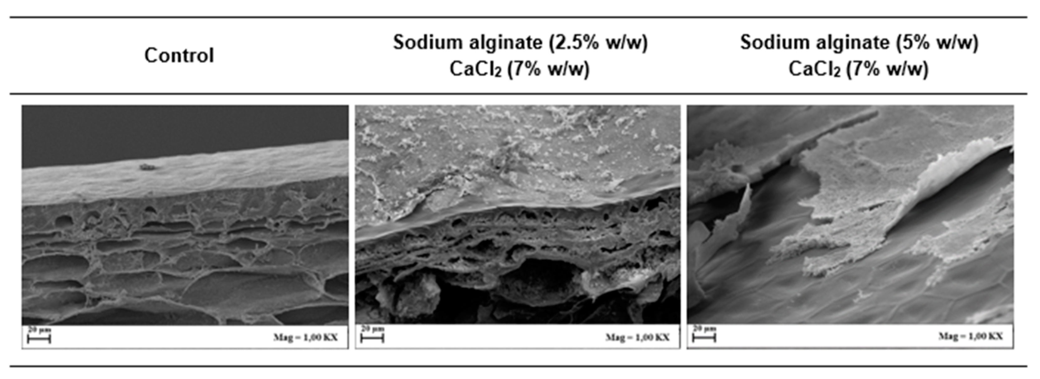 Foods 09 01605 g003 Foods 09 01605 g003