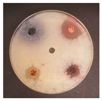 Foods 09 01620 i002 Foods 09 01620 i002