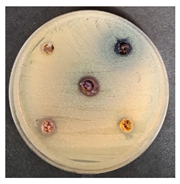 Foods 09 01620 i007 Foods 09 01620 i007