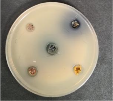 Foods 09 01620 i010 Foods 09 01620 i010