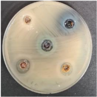 Foods 09 01620 i012 Foods 09 01620 i012