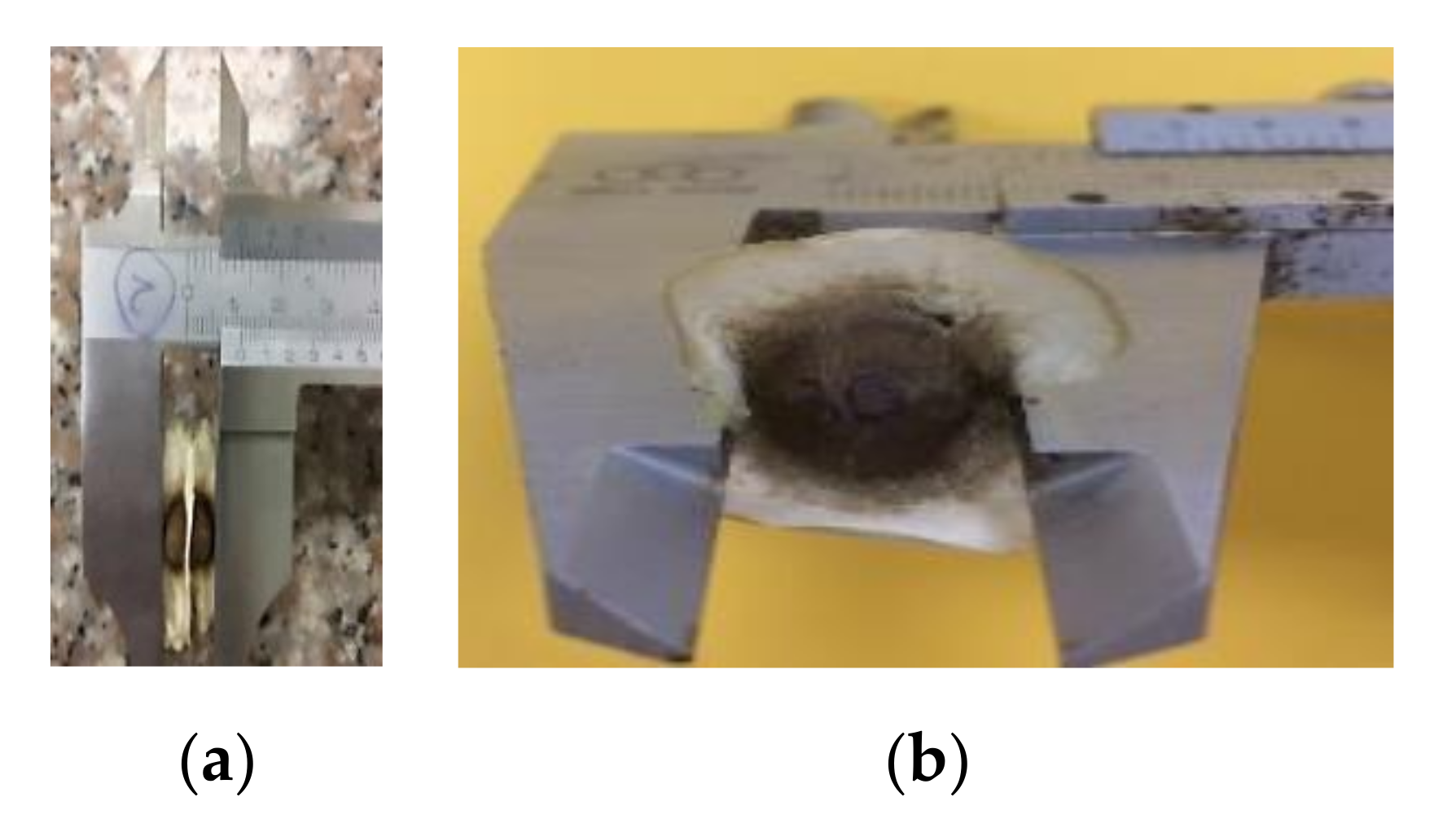 Foods 09 01639 g001 Foods 09 01639 g001