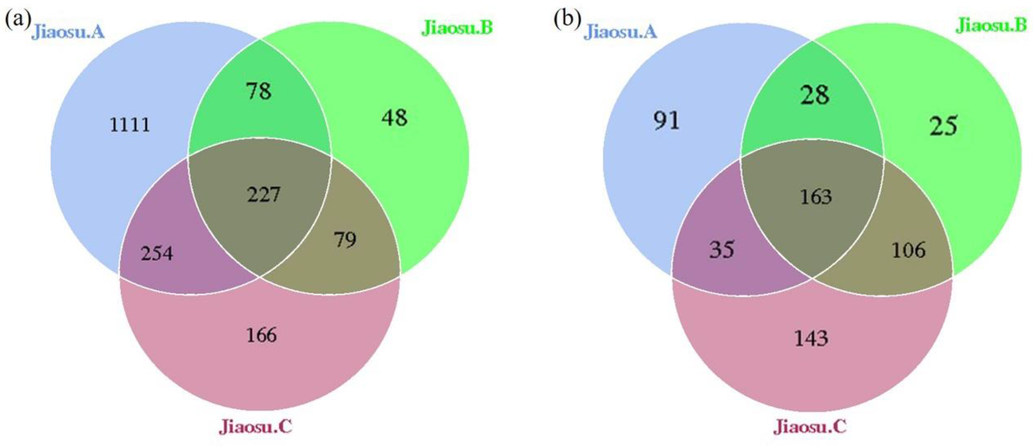 Foods 09 01656 g001 Foods 09 01656 g001
