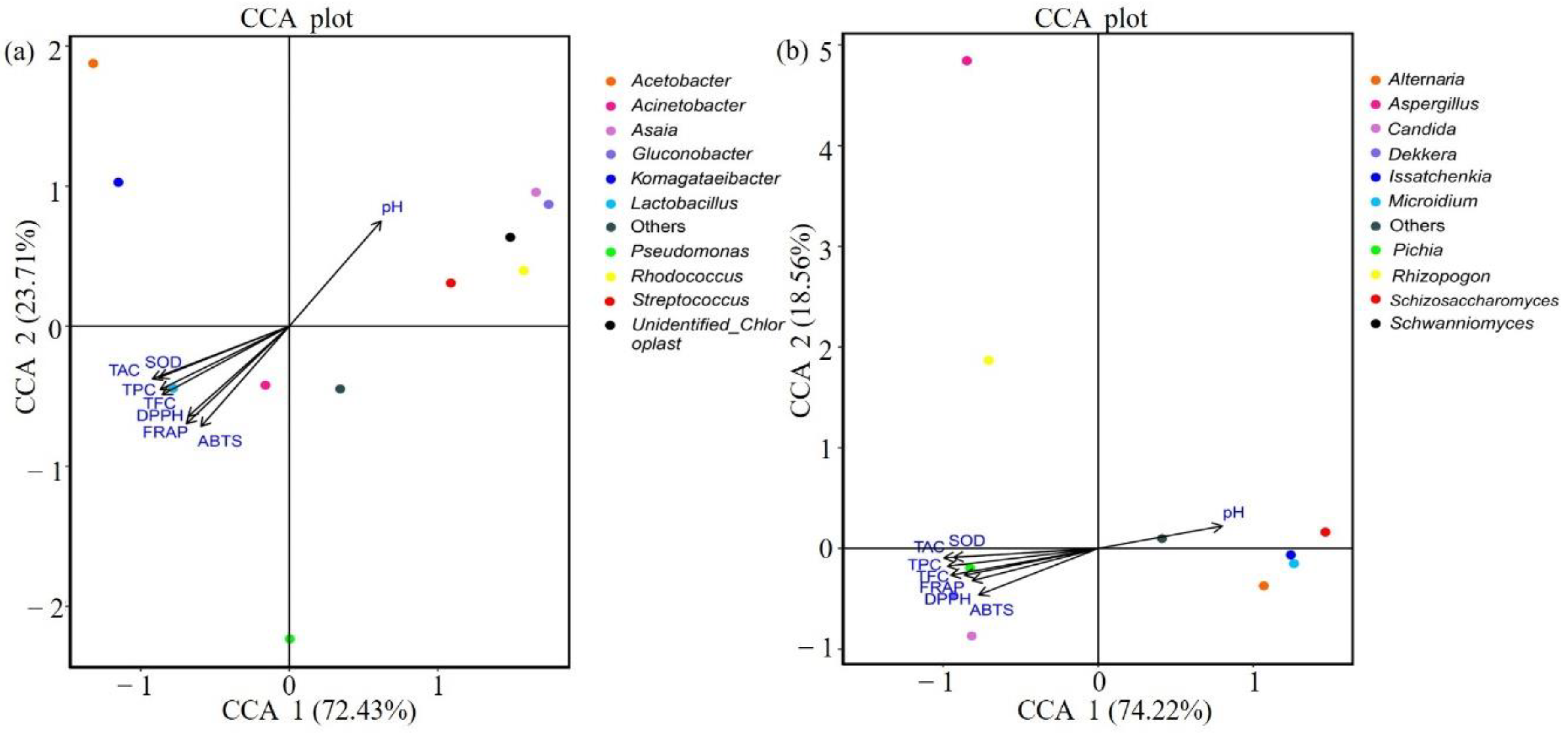 Foods 09 01656 g005 Foods 09 01656 g005