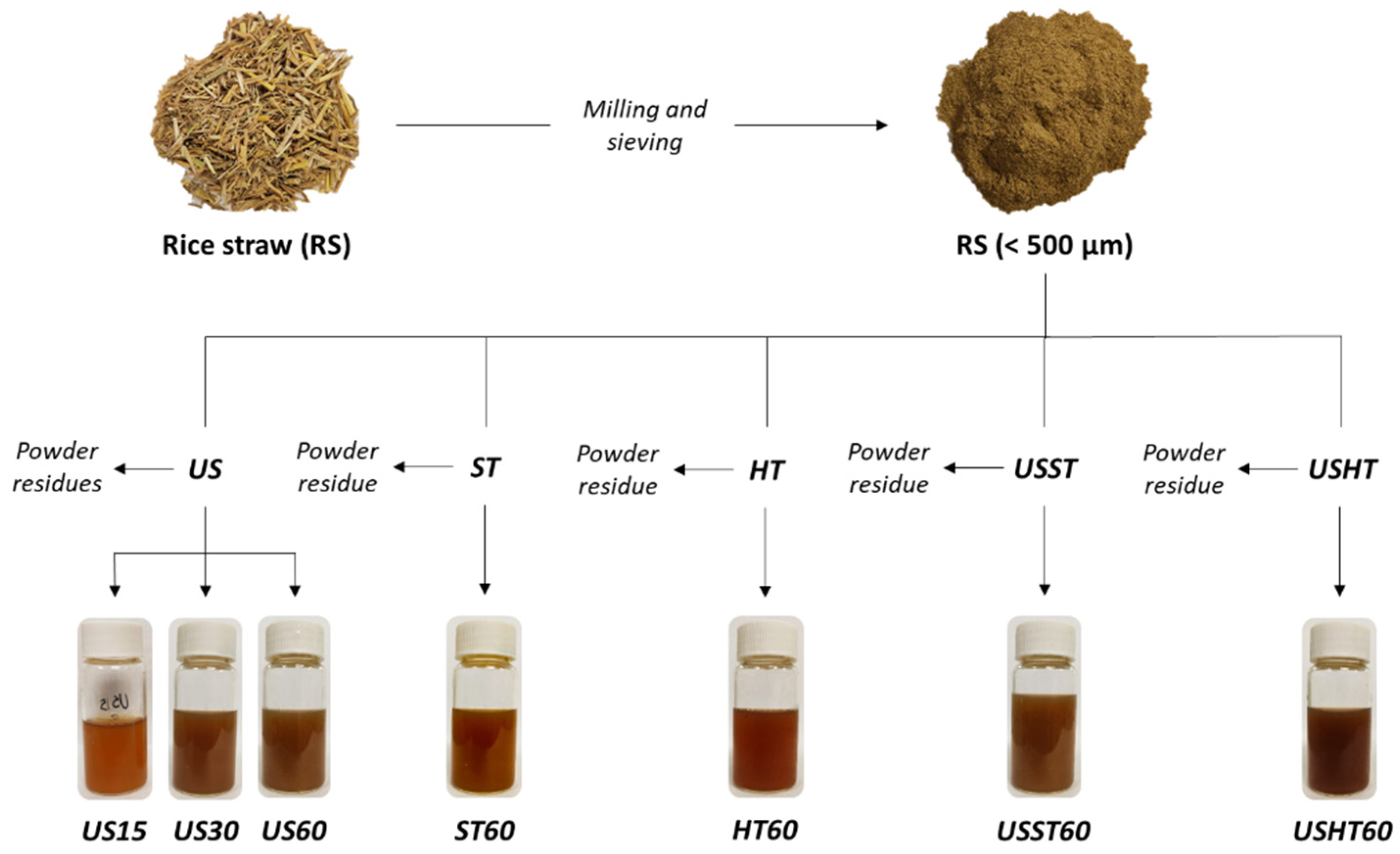 Foods 09 01657 g001 Foods 09 01657 g001