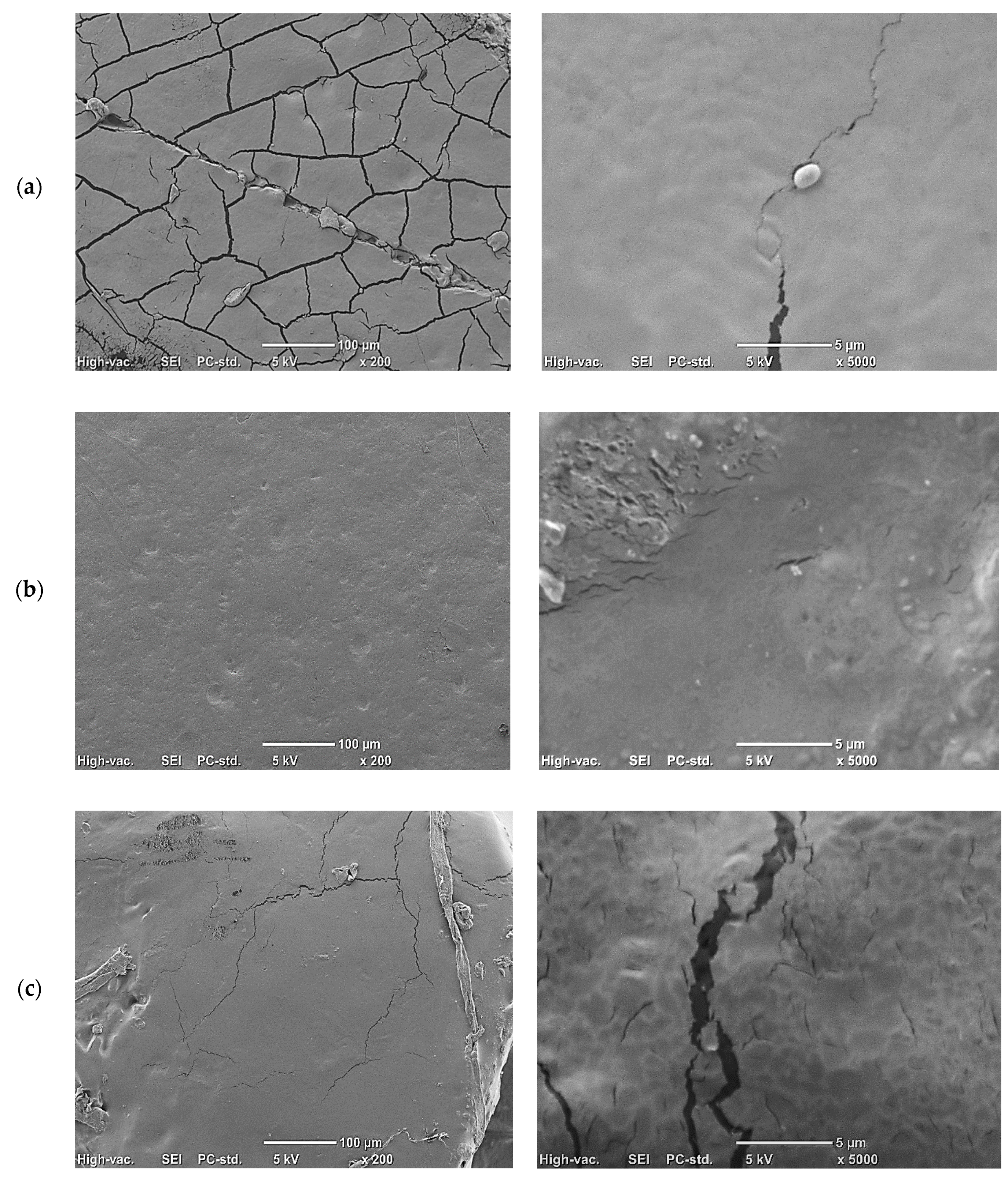 Foods Free Full Text Novel Biodegradable Starch Film For Food Packaging With Antimicrobial Chicory Root Extract And Phytic Acid As A Cross Linking Agent Html