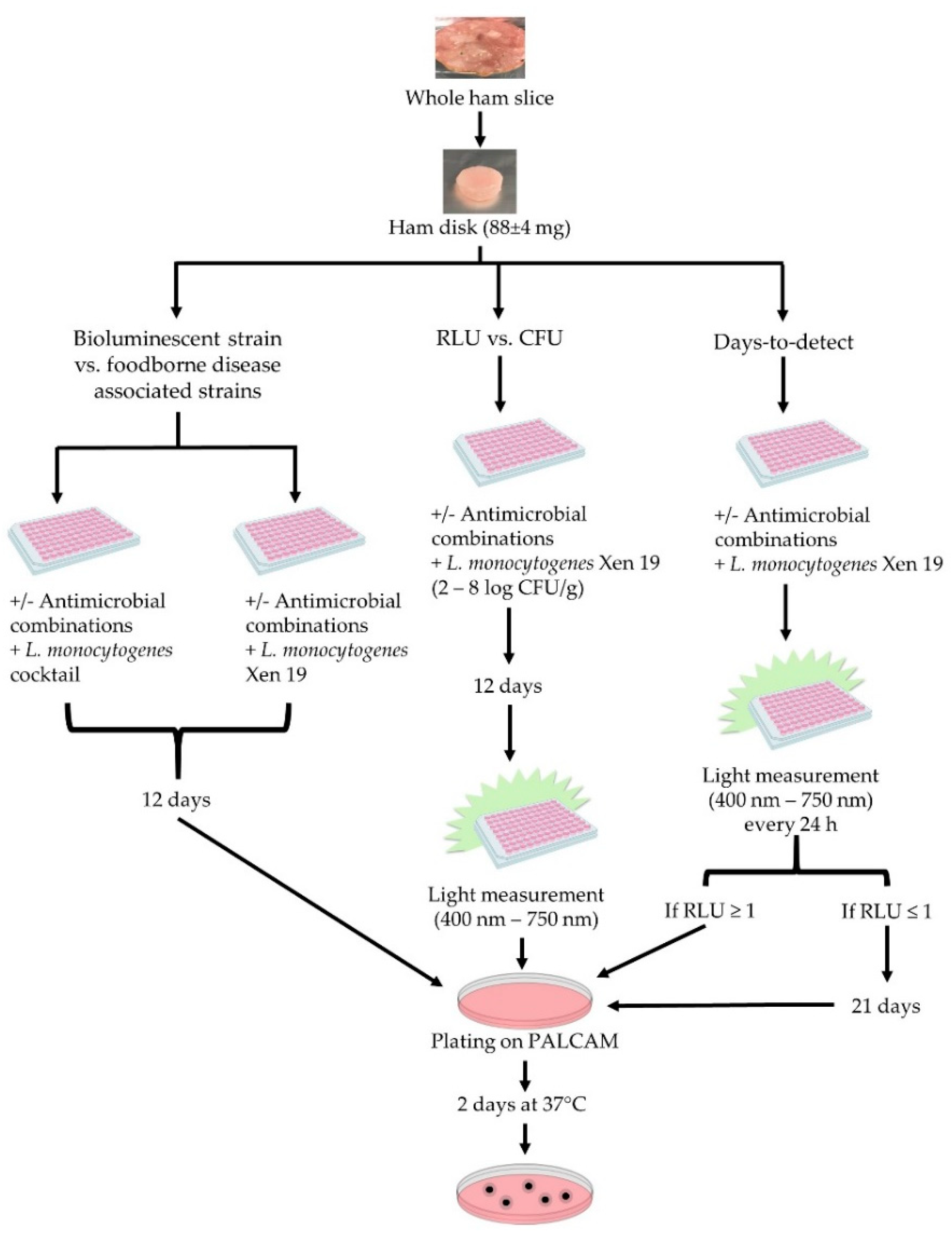 Foods 09 01700 g001 Foods 09 01700 g001