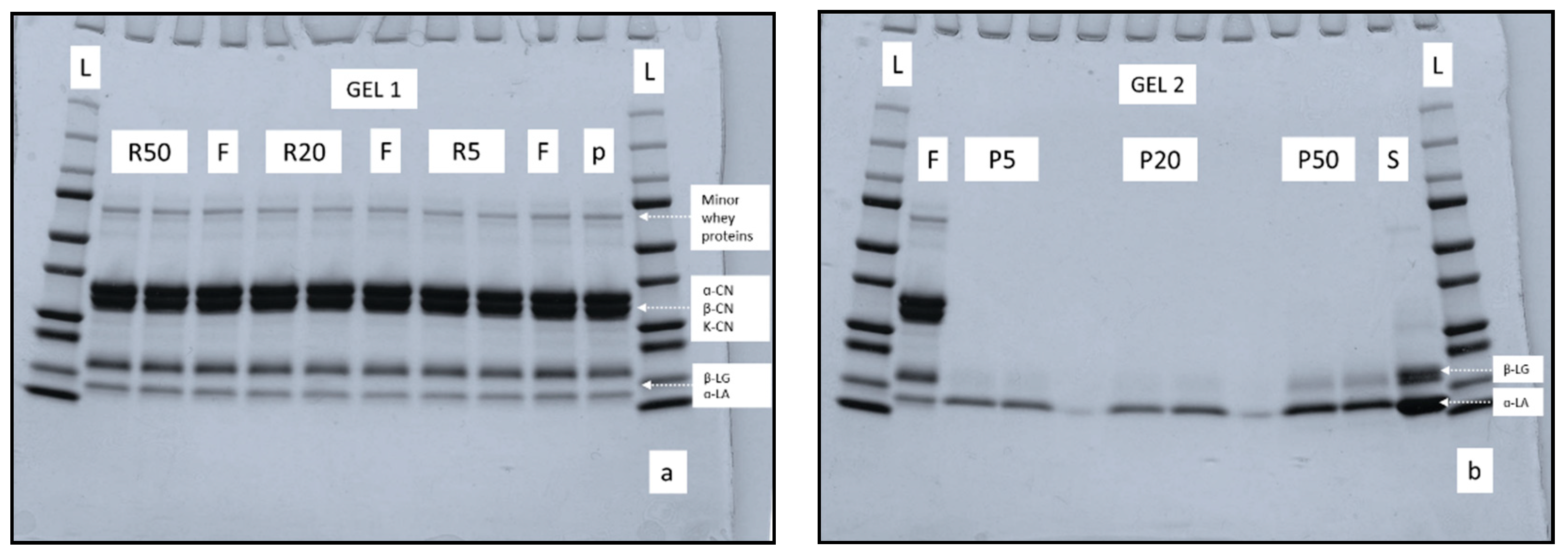 Foods 09 01721 g005 Foods 09 01721 g005