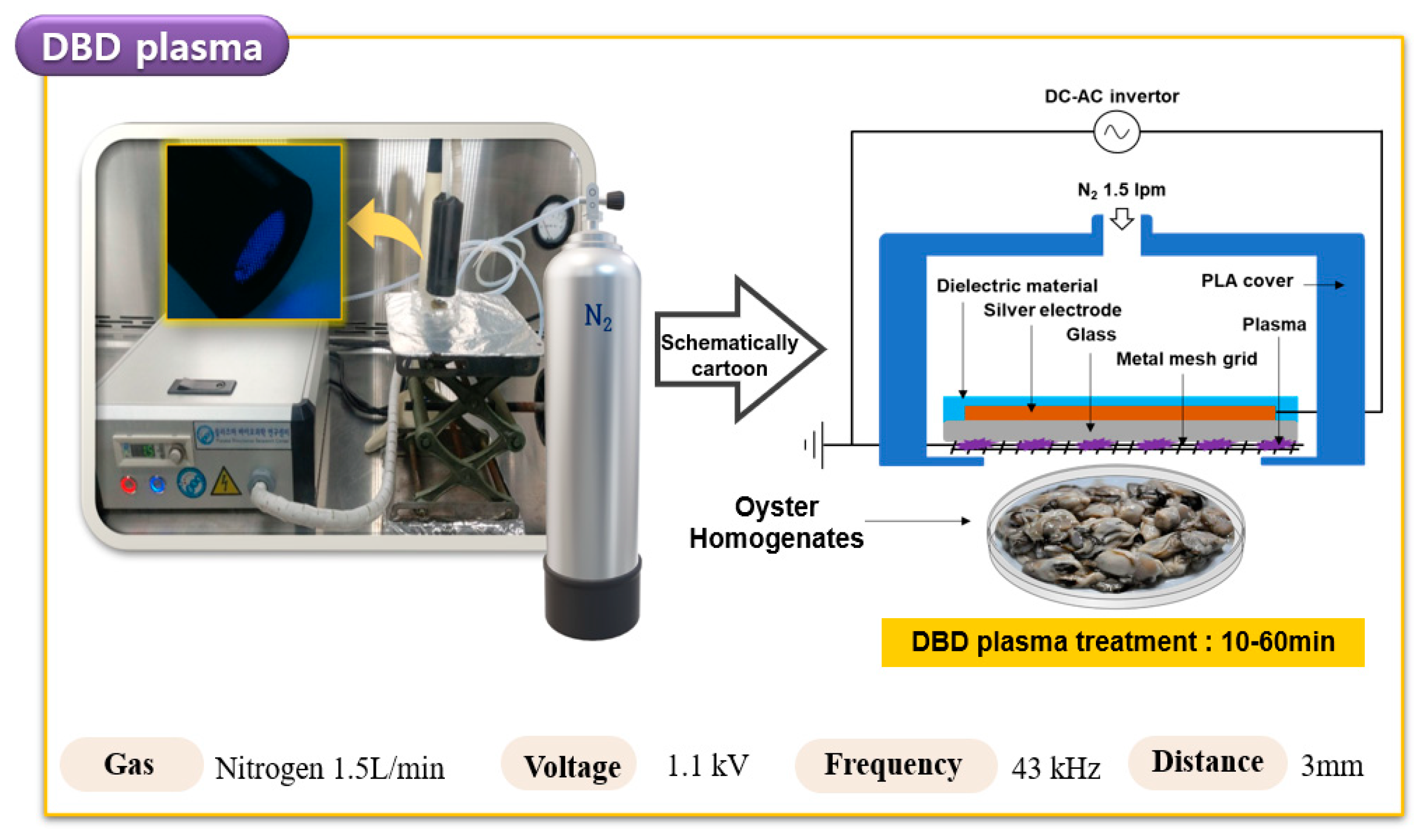 Foods 09 01731 g001 Foods 09 01731 g001