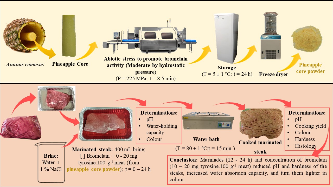 Foods Free FullText Optimization of the Effect of Pineapple By