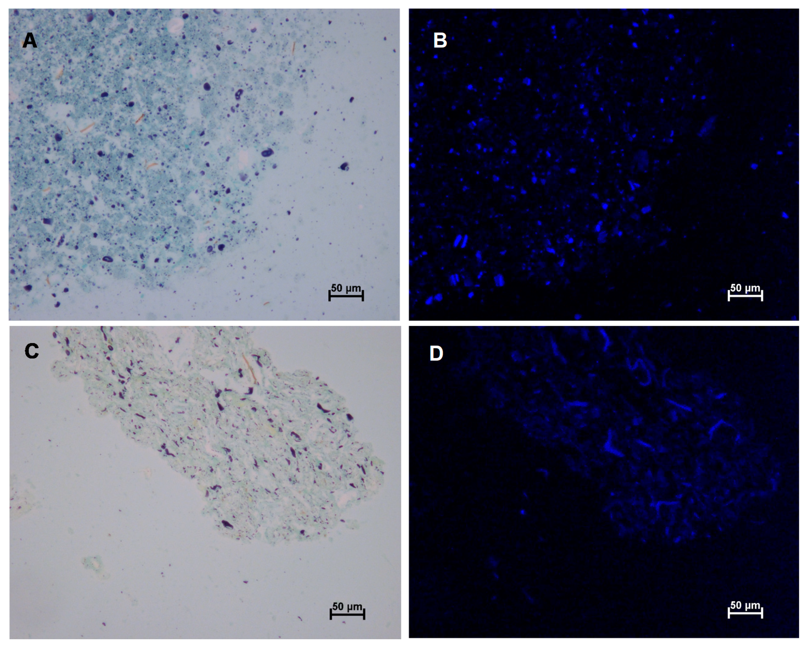 Foods 09 01755 g0a1 Foods 09 01755 g0a1