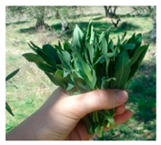 Foods 09 01761 i002 Foods 09 01761 i002