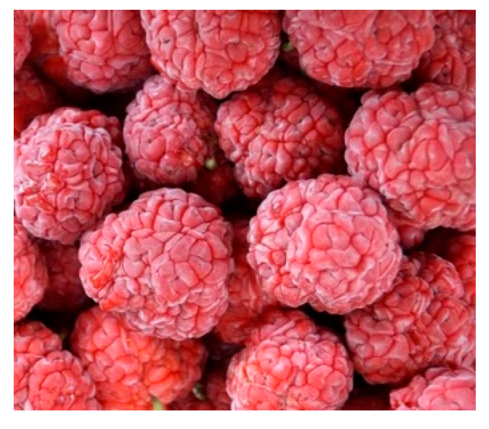 Foods 09 01762 g001 Foods 09 01762 g001