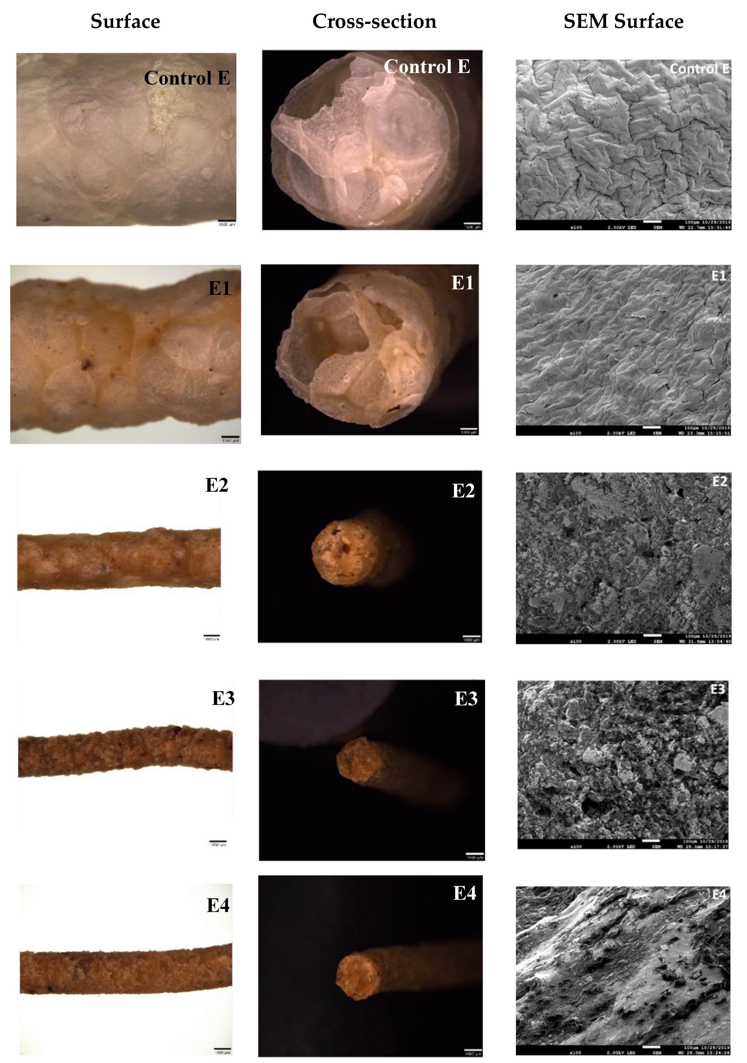 Foods 09 01770 g004 Foods 09 01770 g004