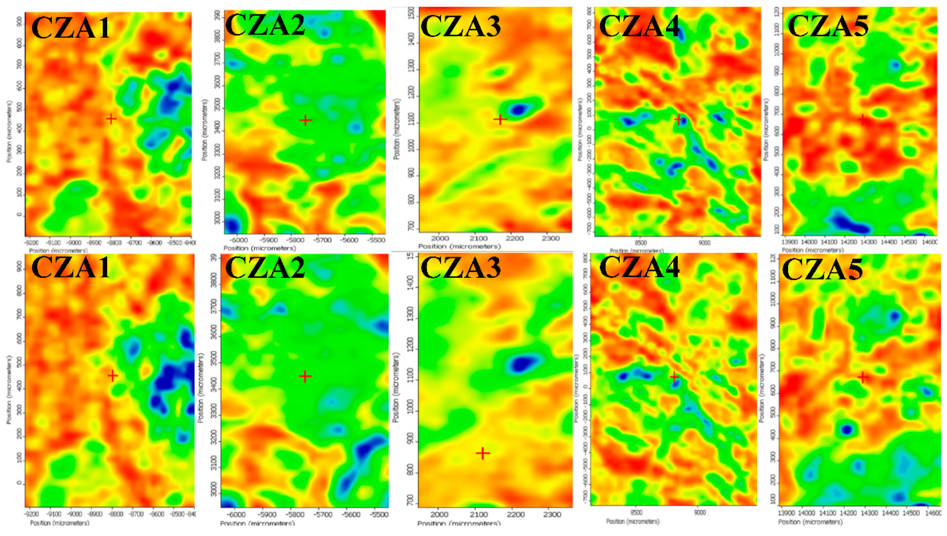 Foods 09 01801 g003 Foods 09 01801 g003