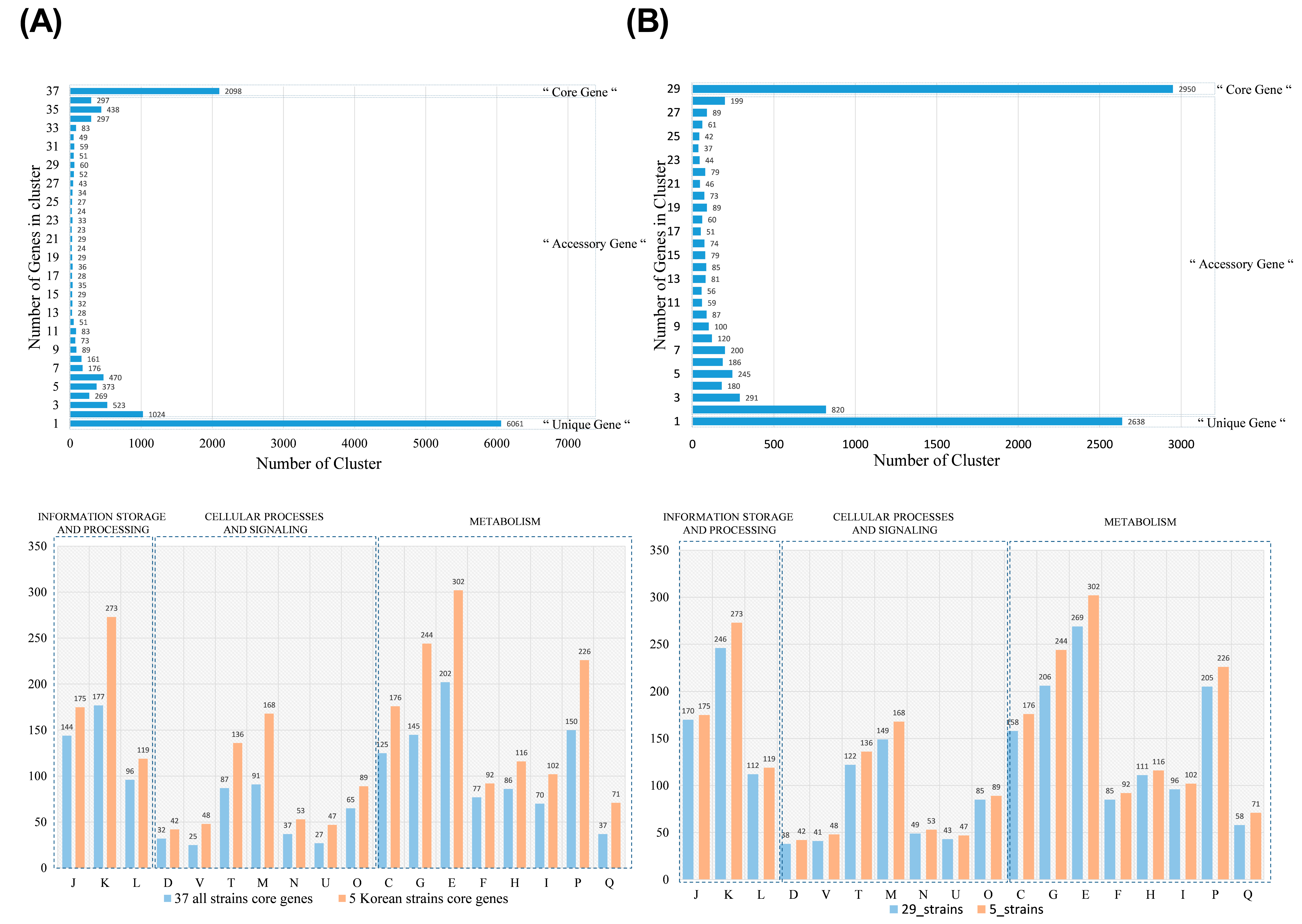 Foods 09 01805 g004 Foods 09 01805 g004
