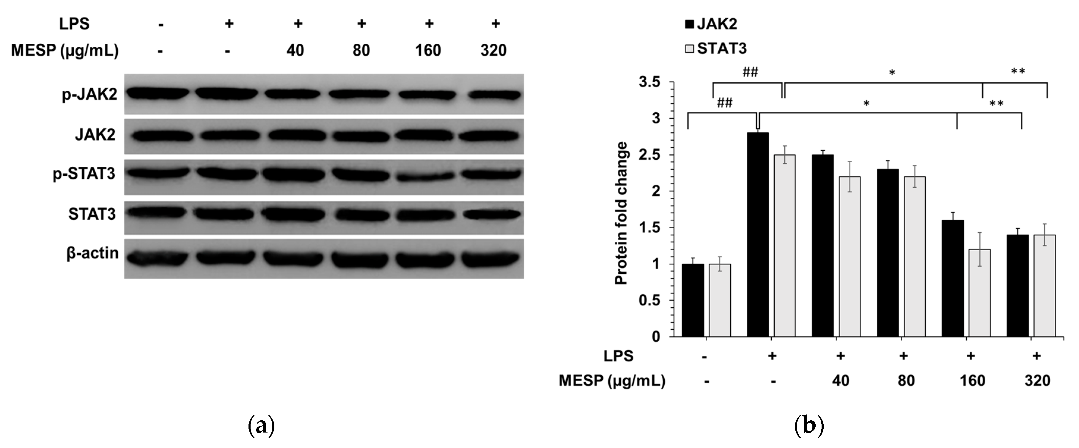 Foods 09 01808 g005 Foods 09 01808 g005