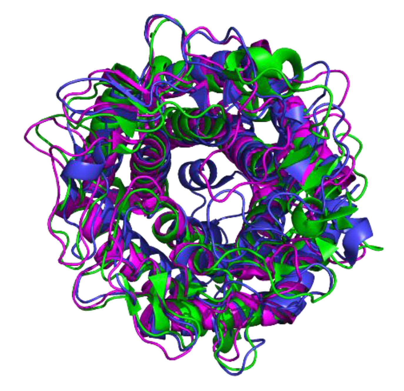 Foods 09 01809 g003 Foods 09 01809 g003