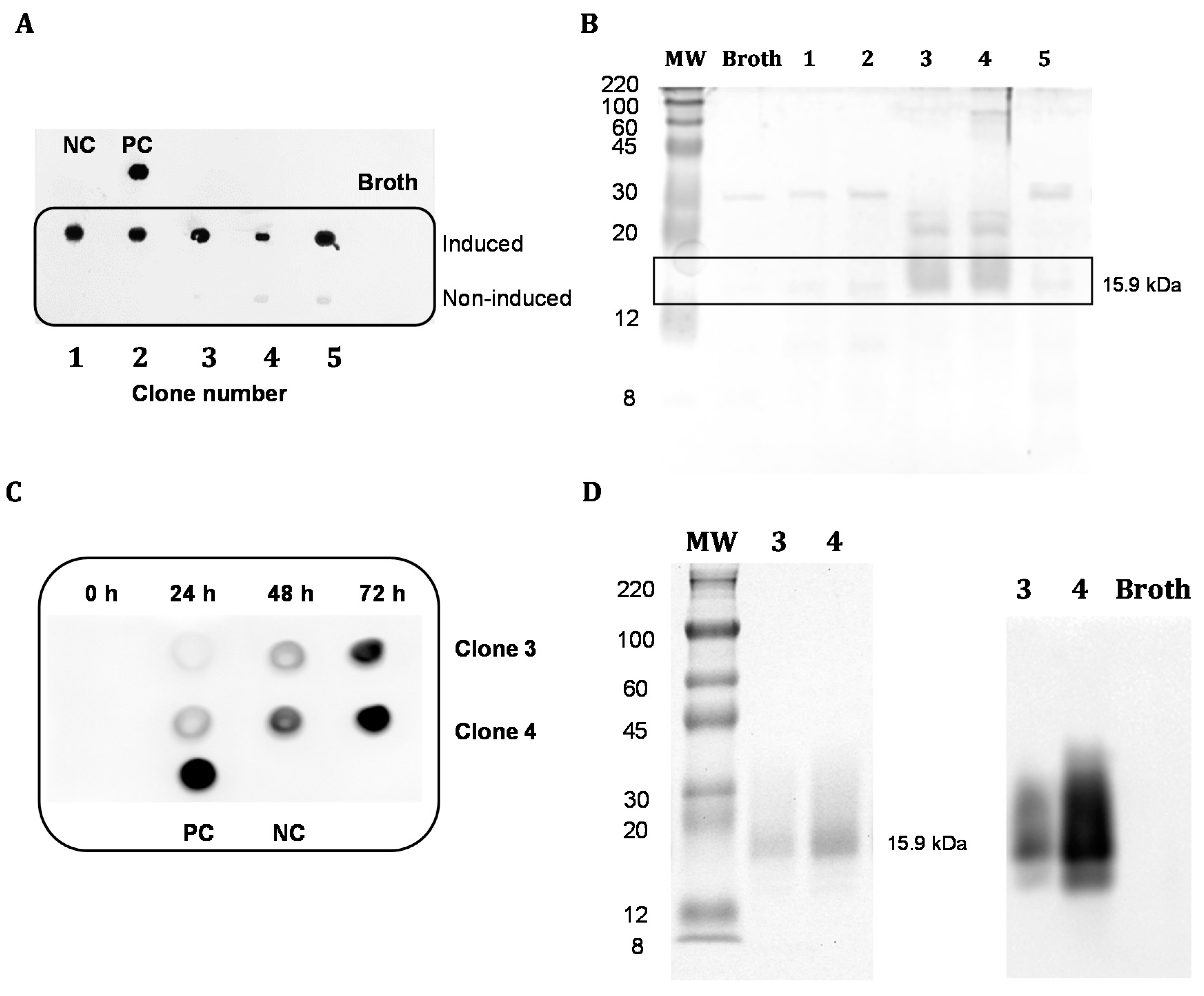 Foods 09 01838 g002 Foods 09 01838 g002