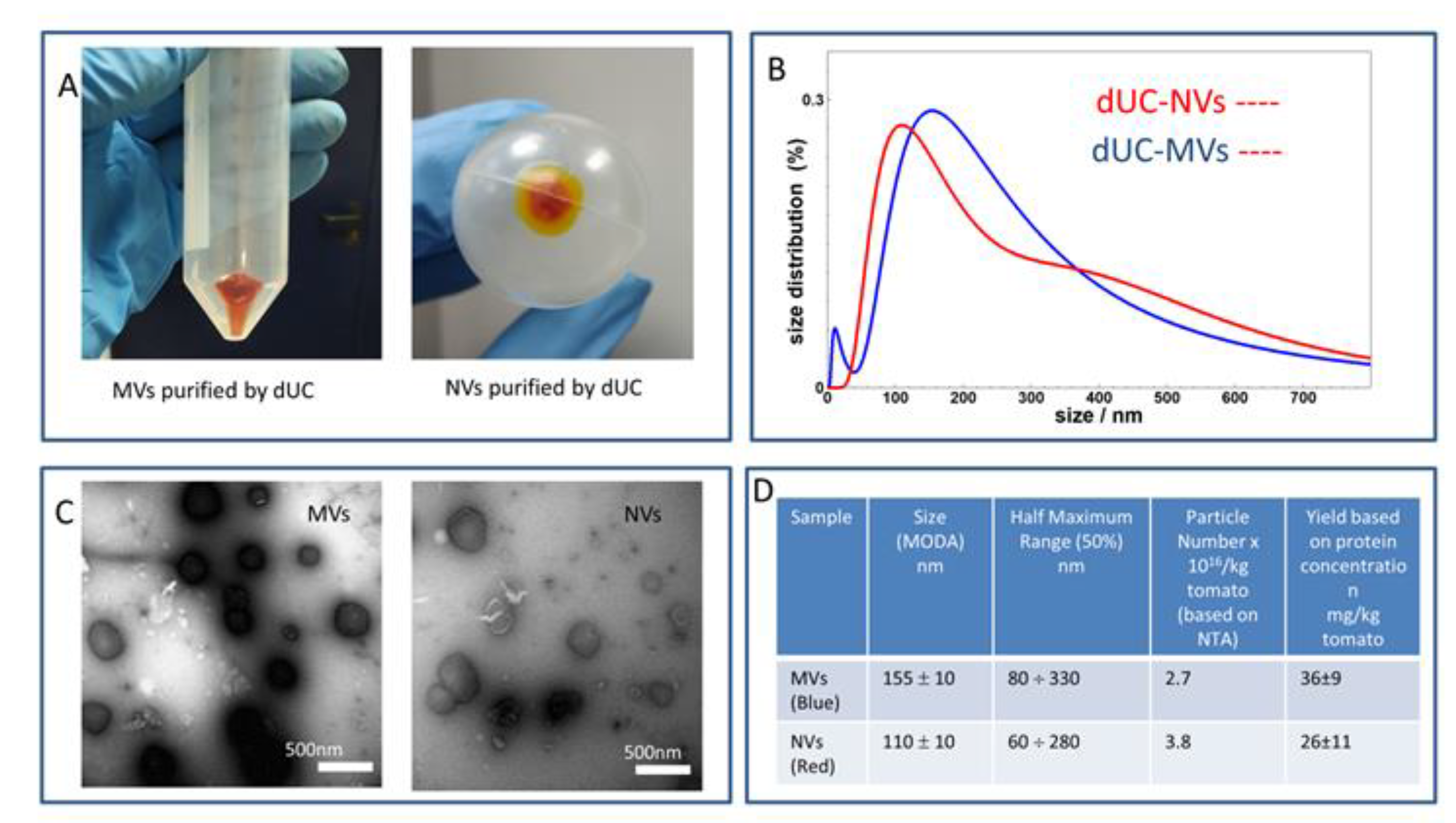 Foods 09 01852 g002 Foods 09 01852 g002