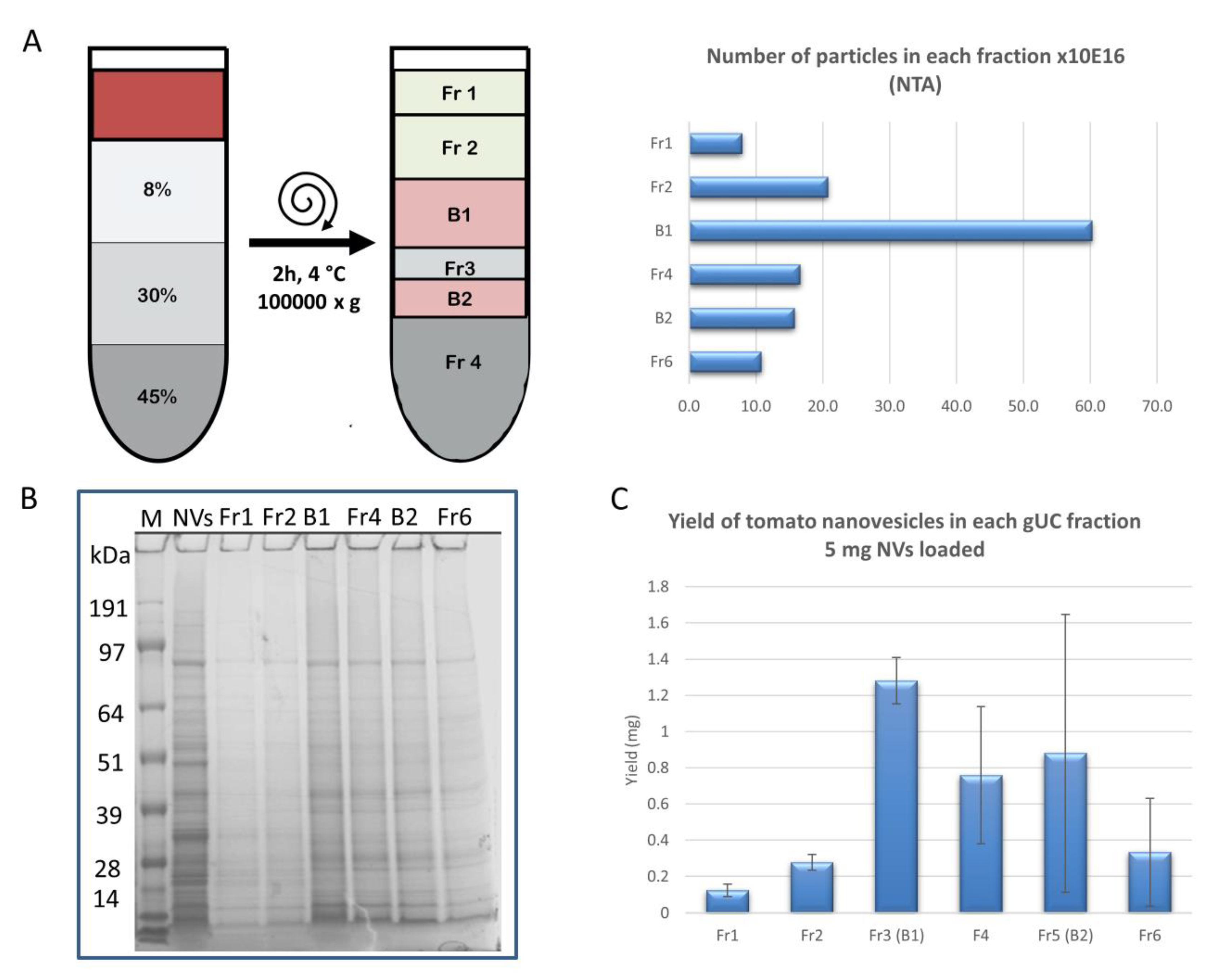 Foods 09 01852 g004 Foods 09 01852 g004