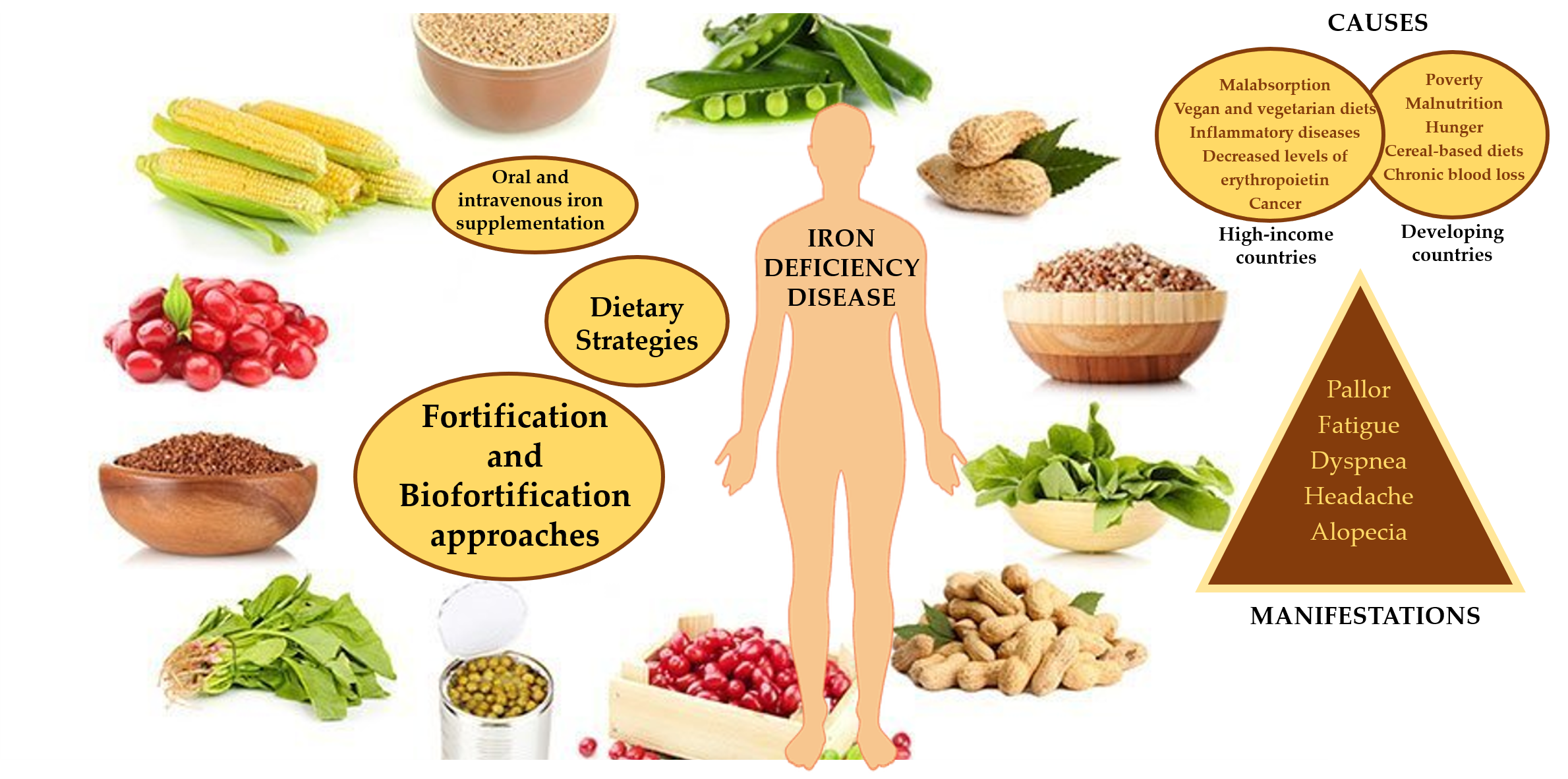 foods high in iron for anemia