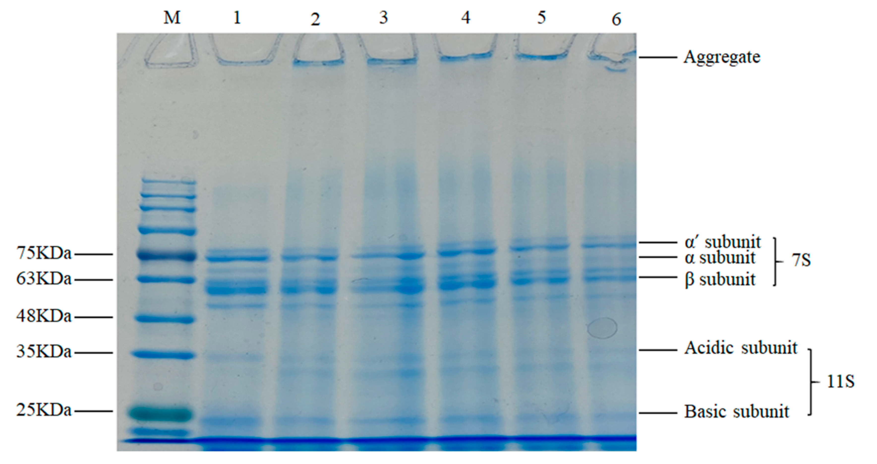 Foods 09 01877 g003 Foods 09 01877 g003