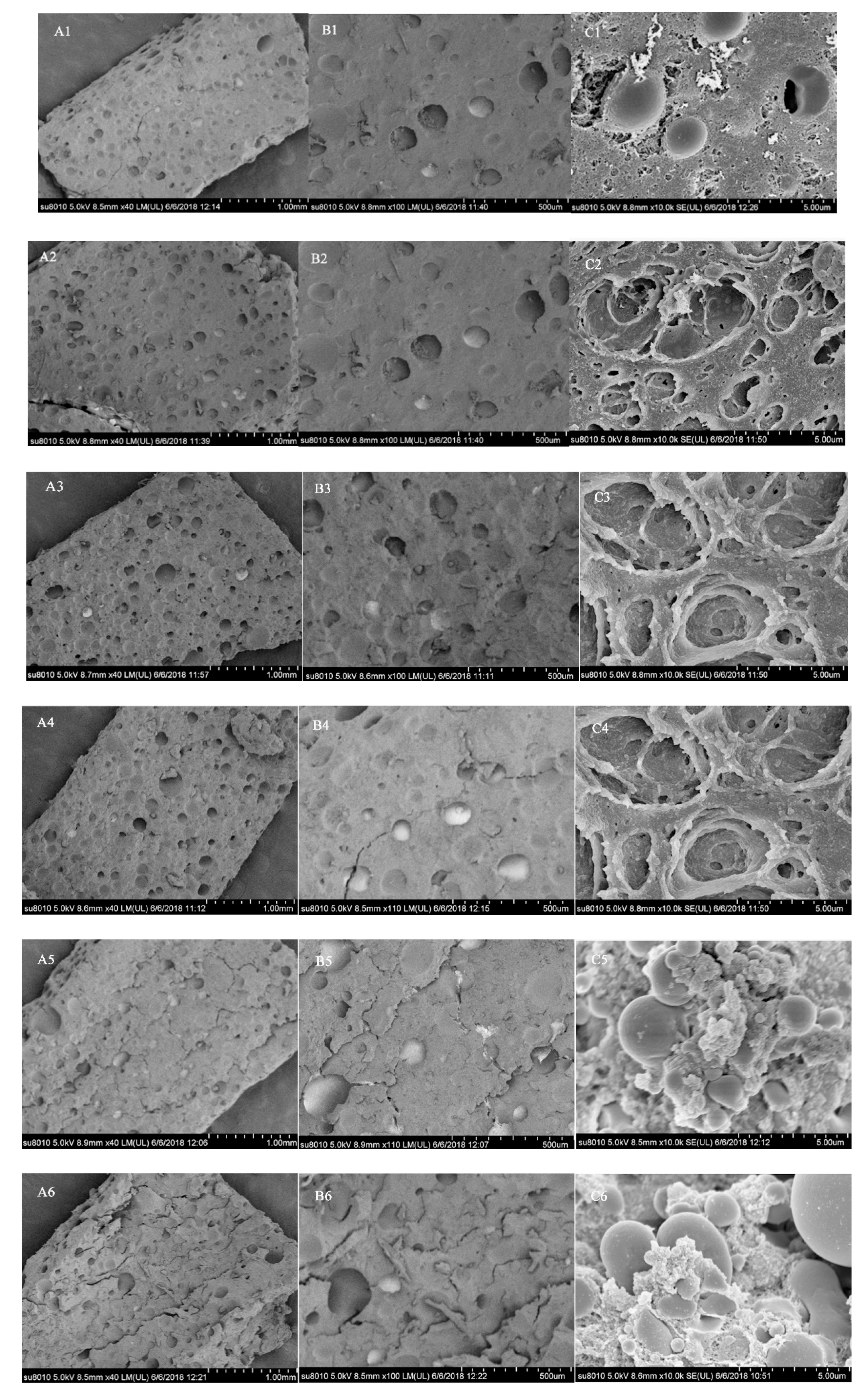 Foods 09 01877 g005 Foods 09 01877 g005