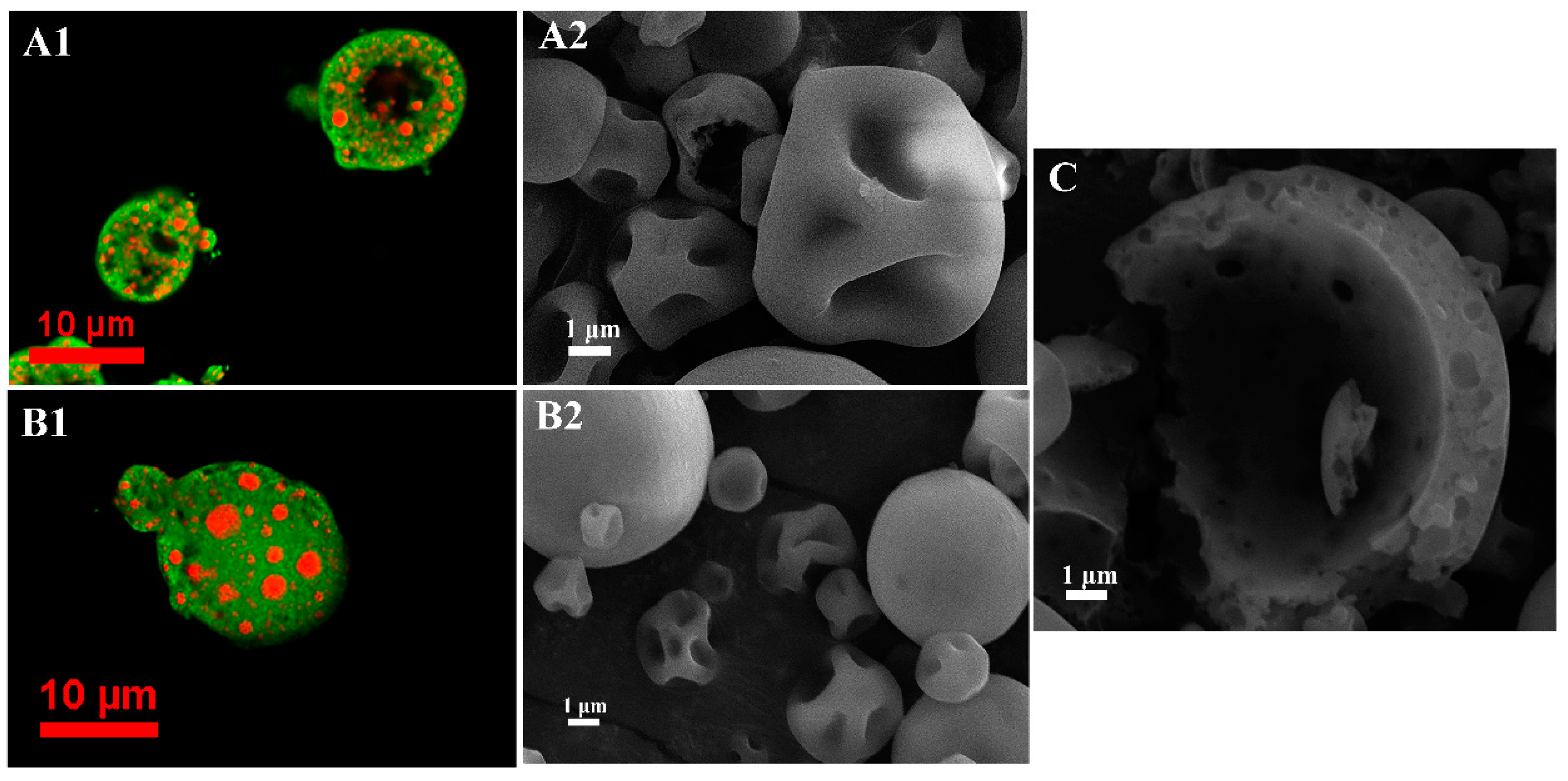 Foods 09 01878 g001 Foods 09 01878 g001