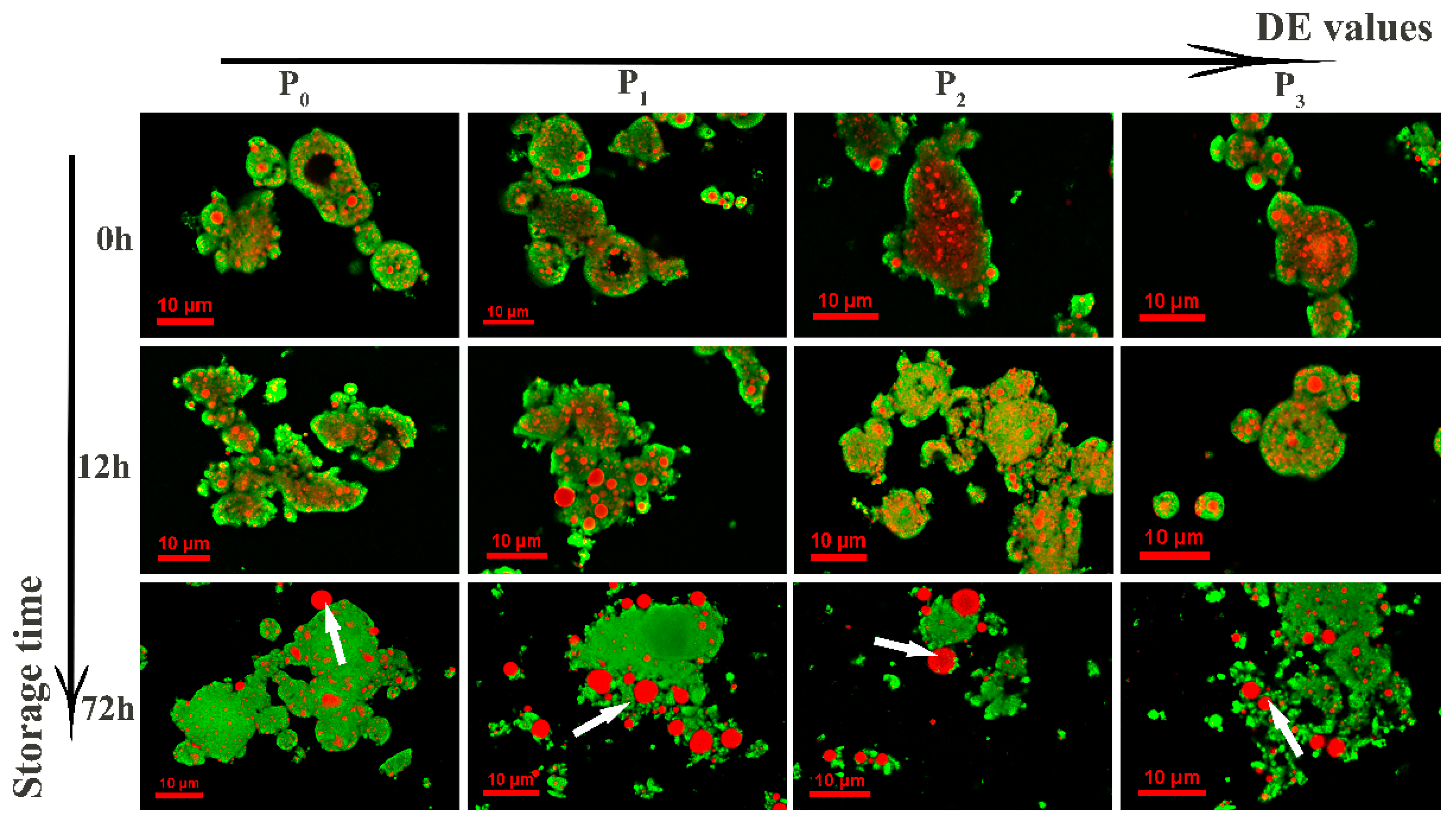 Foods 09 01878 g007 Foods 09 01878 g007