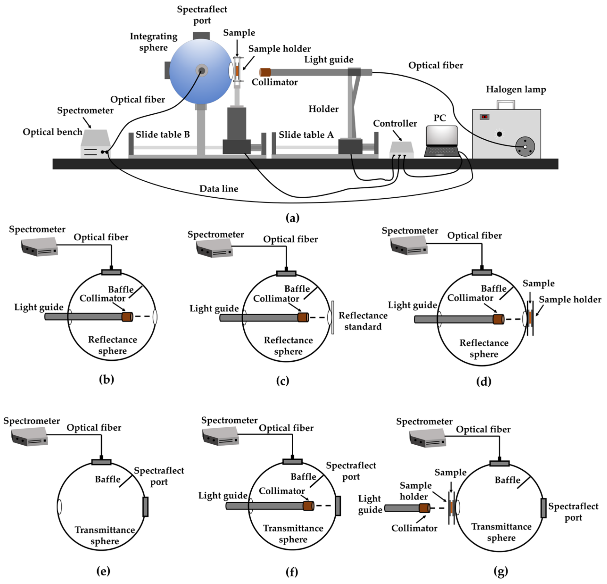 Foods 09 01881 g001 Foods 09 01881 g001