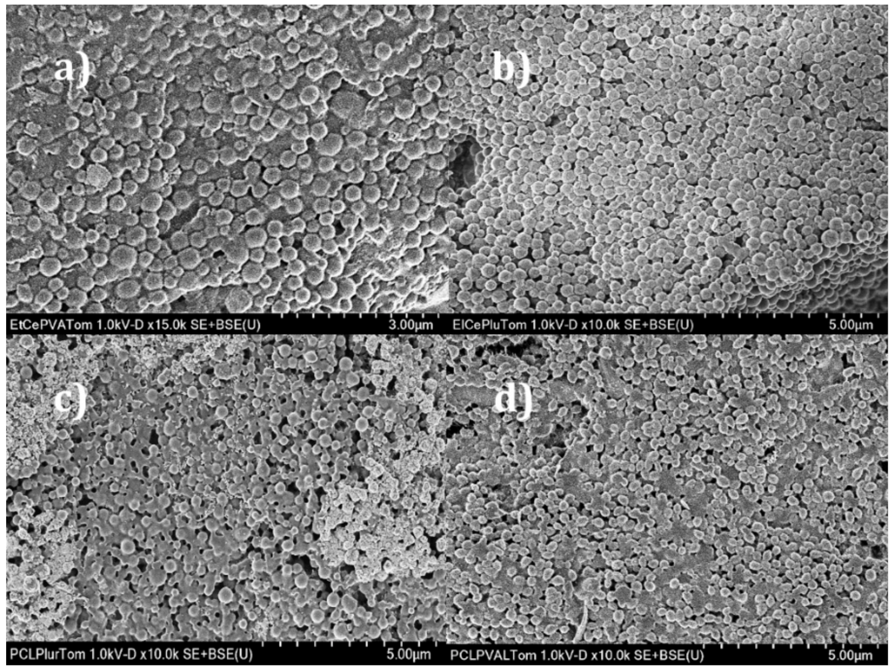 Foods 09 01884 g002 Foods 09 01884 g002