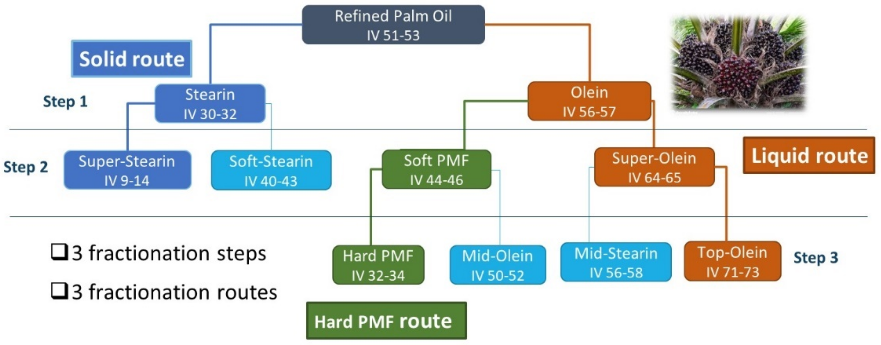 Foods 09 01891 g001 550