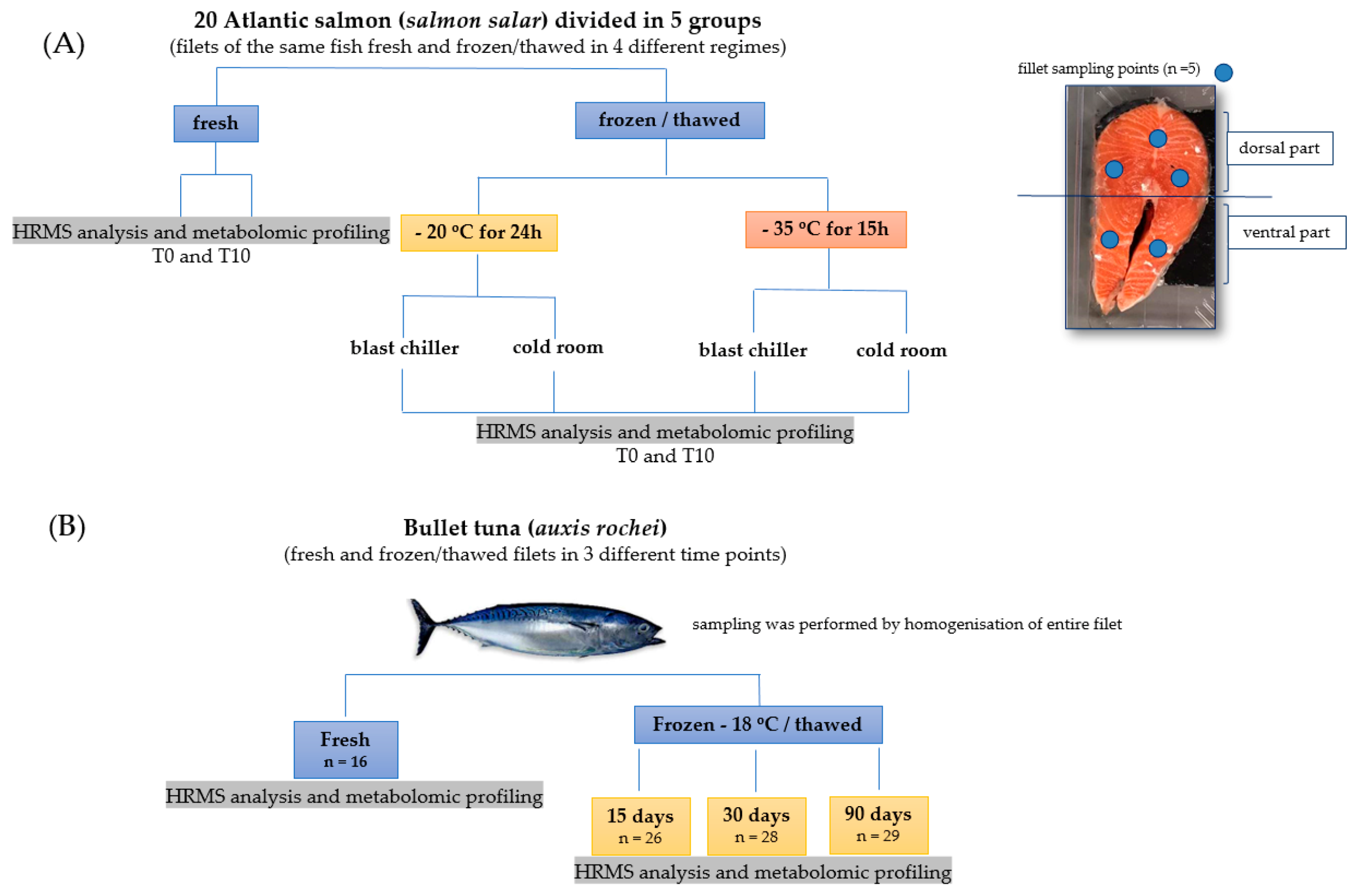 Foods 09 01896 g001 Foods 09 01896 g001