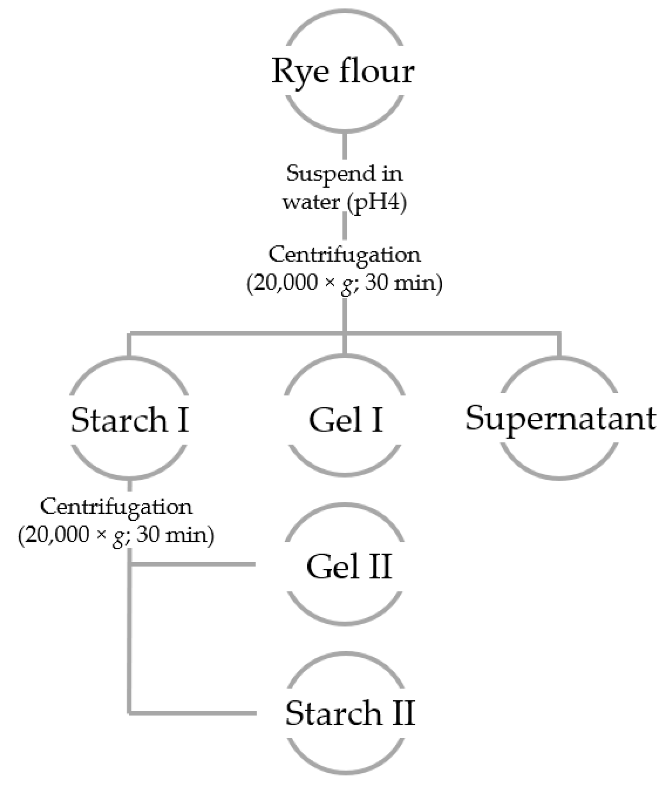 Foods Free Full Text Rye Bread Defects Analysis Of Composition And Further Influence Factors As Determinants Of Dry Baking Html