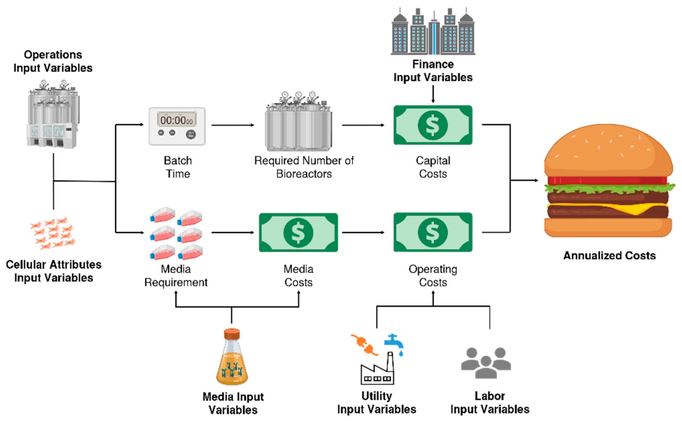Foods 10 00003 g003 Foods 10 00003 g003