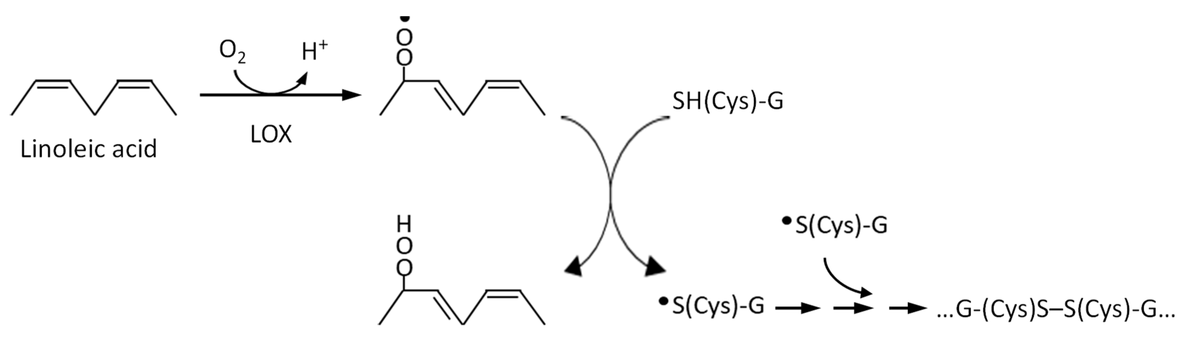 Foods 10 00040 g004 Foods 10 00040 g004