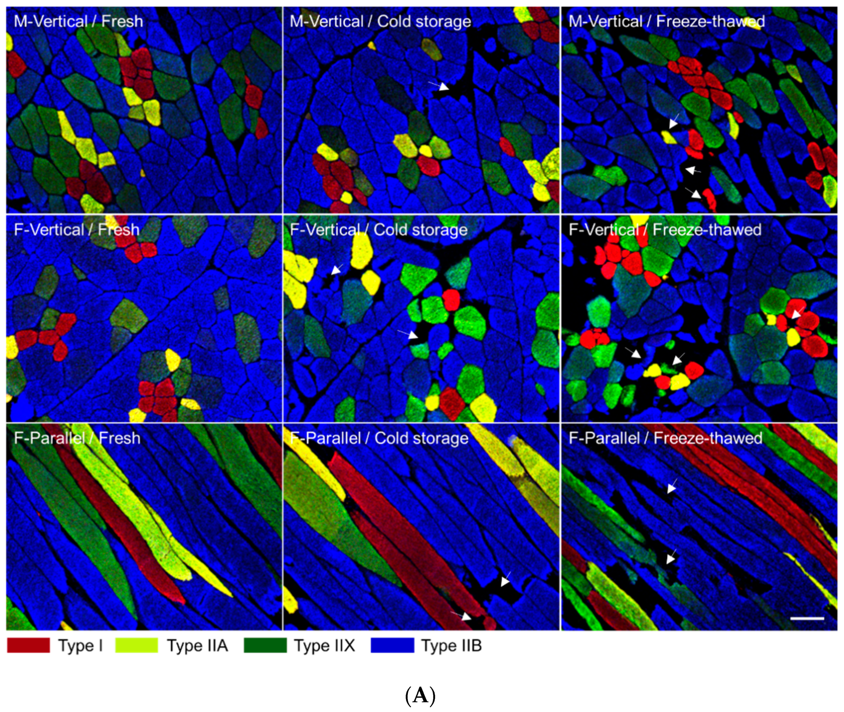 Foods 10 00043 g002a