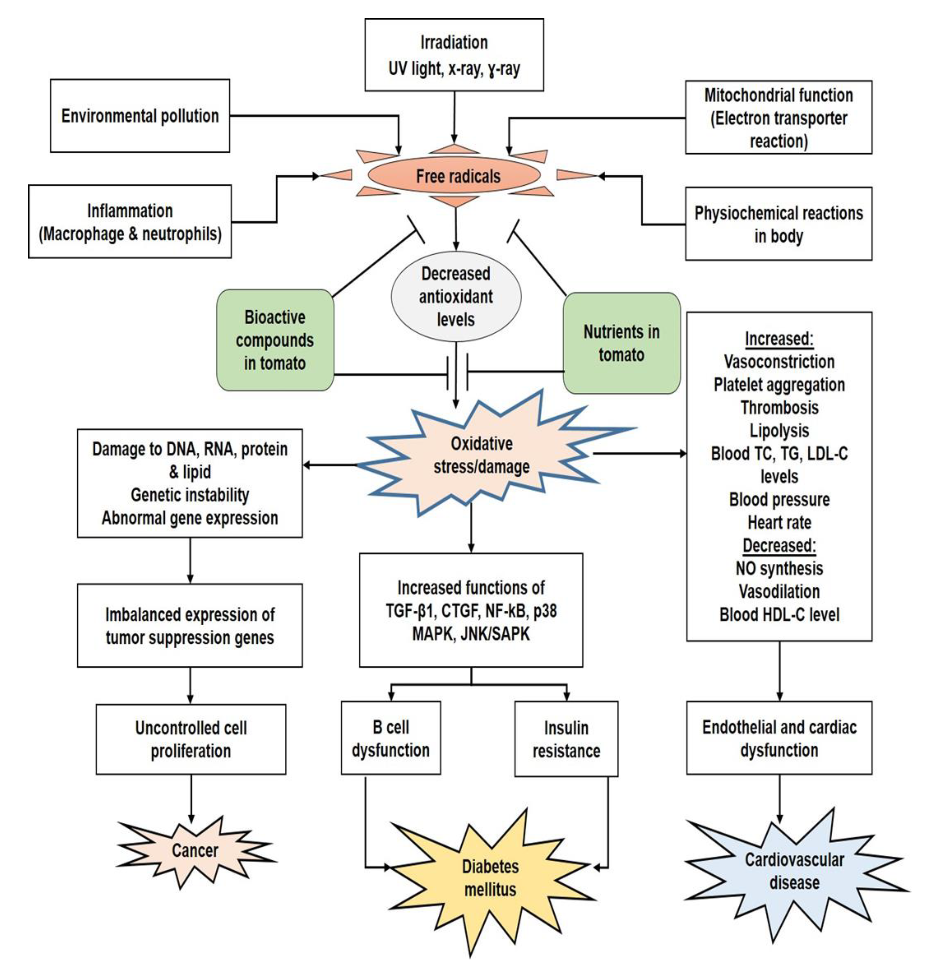 Foods 10 00045 g002 Foods 10 00045 g002