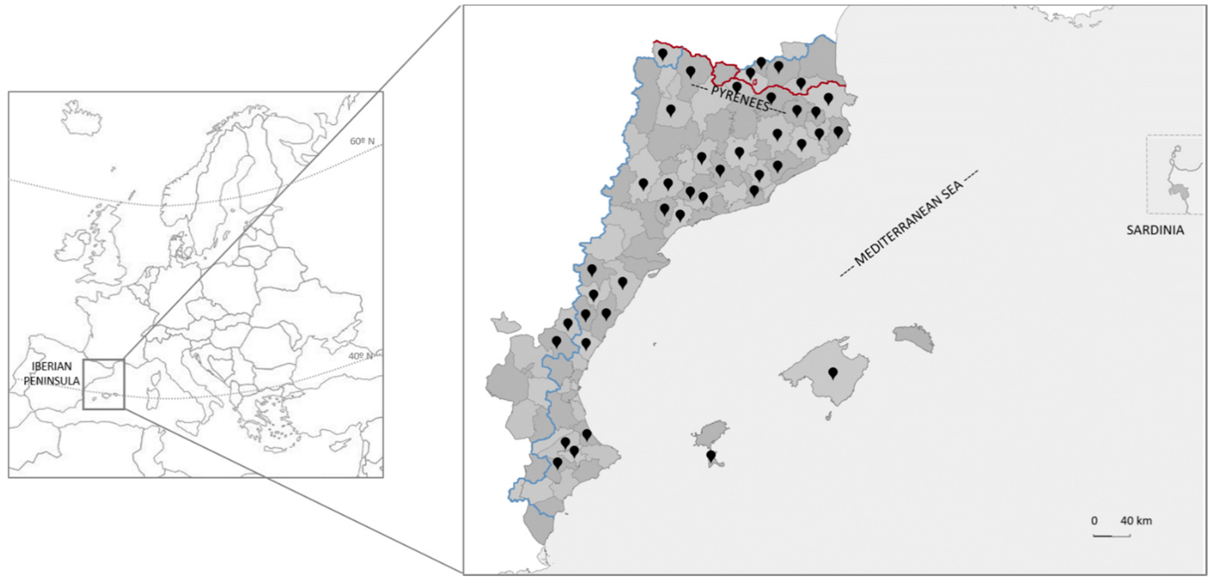 File:Països Catalans amb varietats lingüísticas.png - Wikimedia Commons