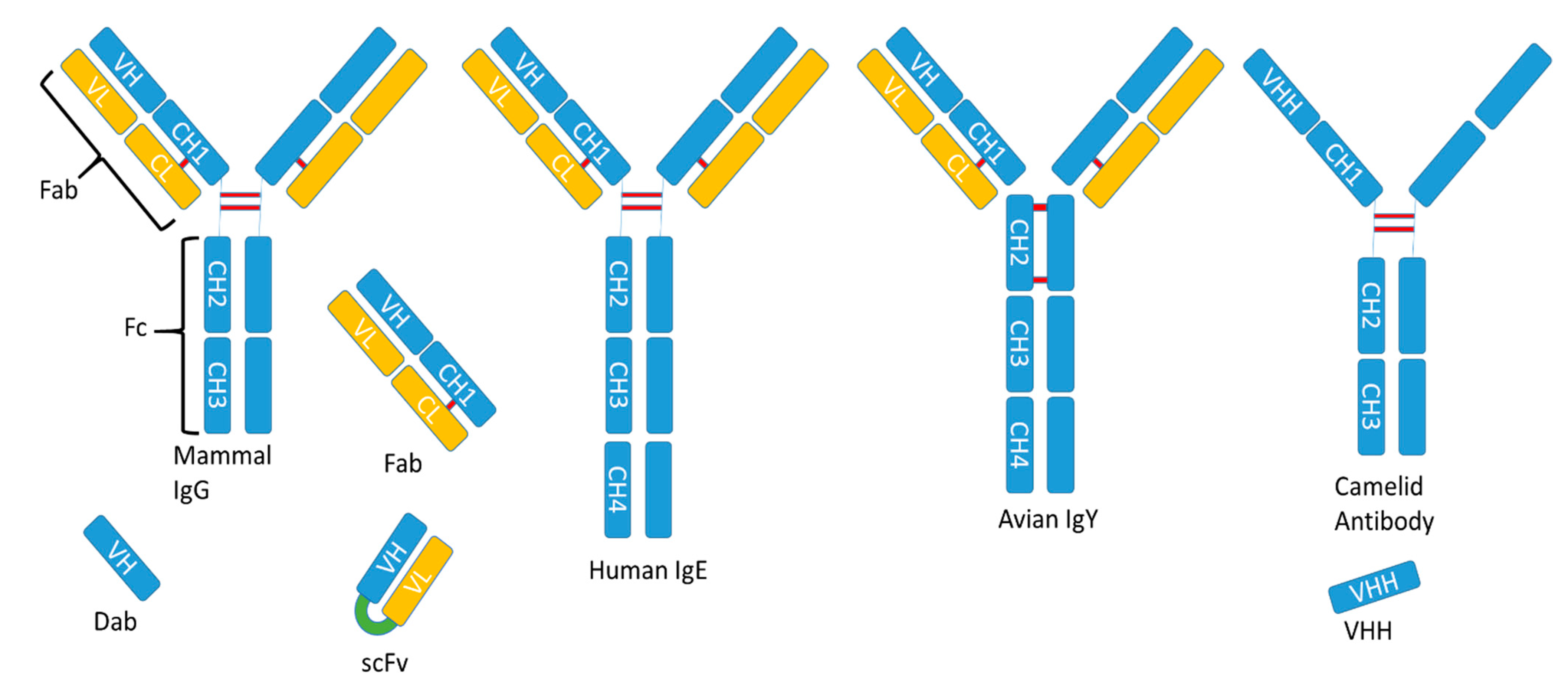 Foods 10 00066 g001 Foods 10 00066 g001