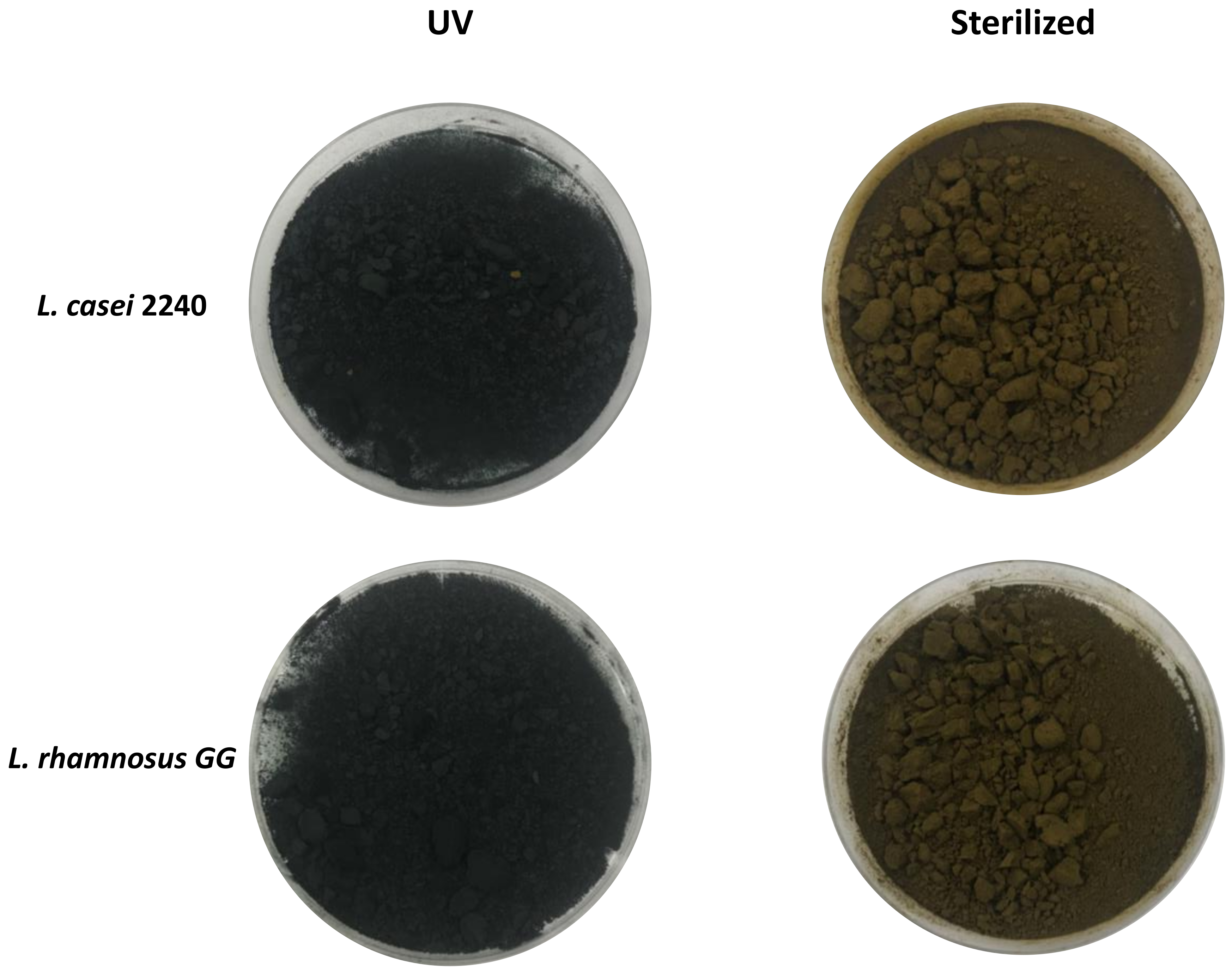 Foods 10 00067 g002 Foods 10 00067 g002