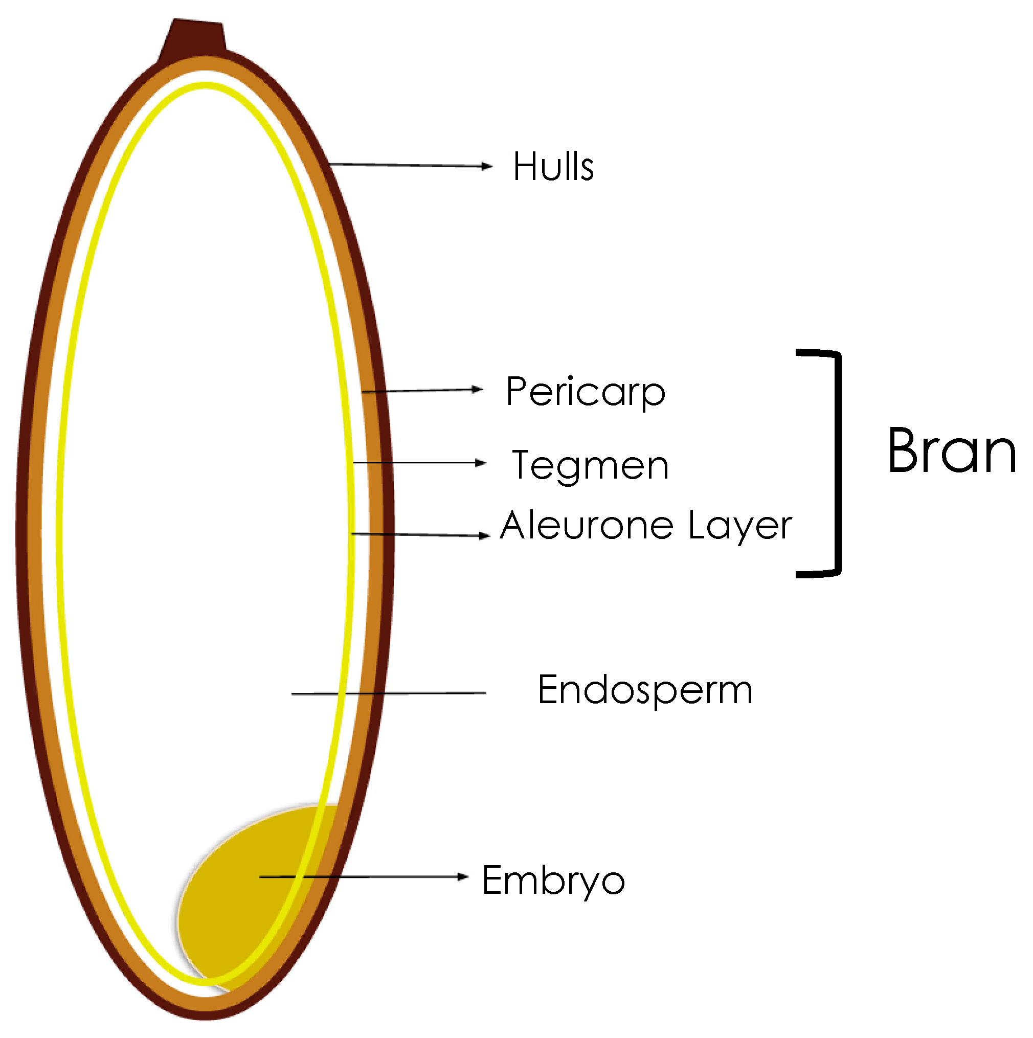 Foods 10 00085 g001 Foods 10 00085 g001
