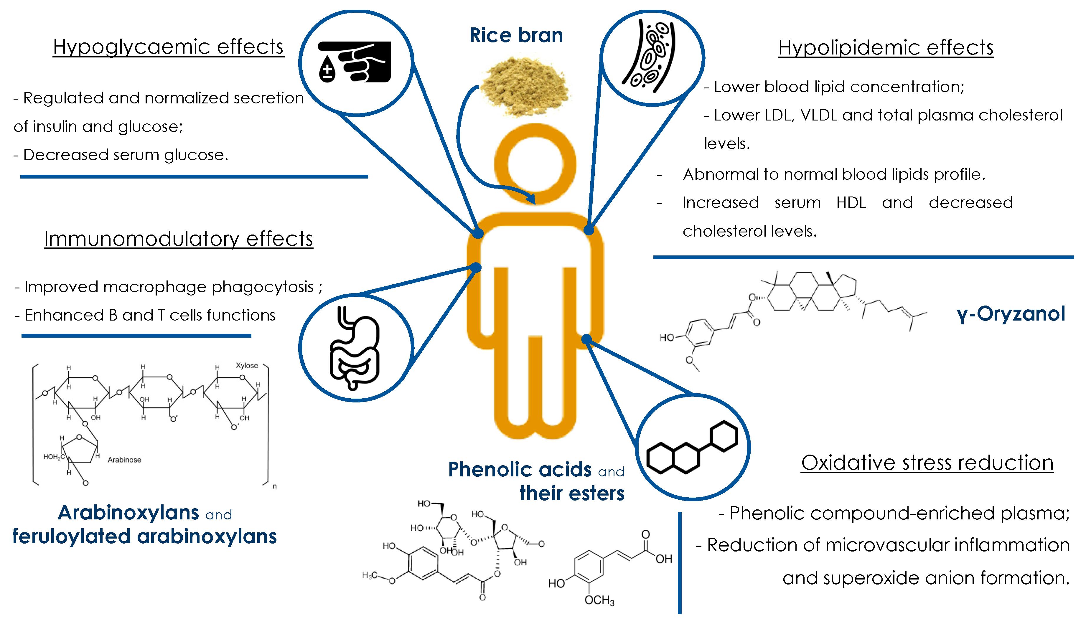 Foods 10 00085 g002 Foods 10 00085 g002