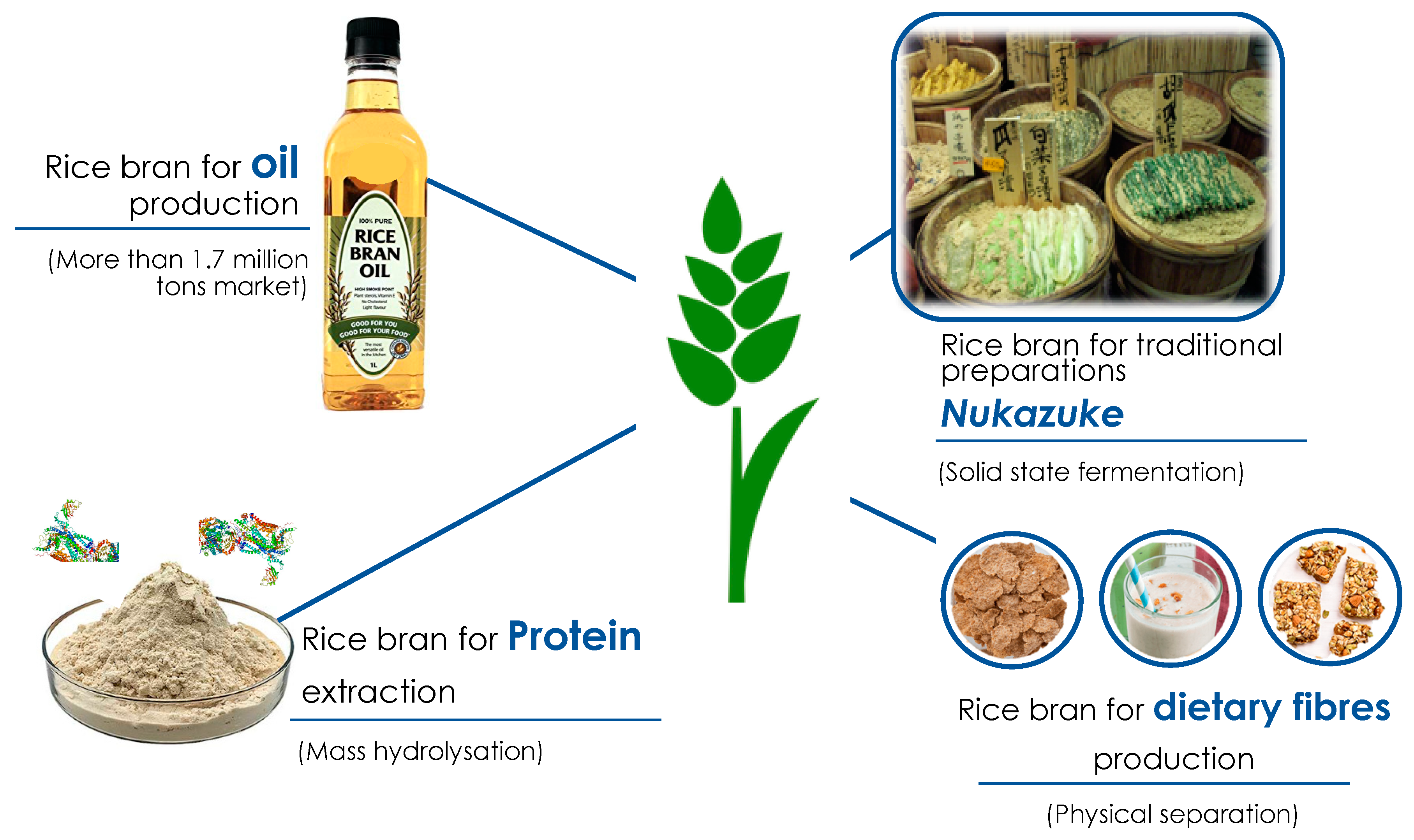 Foods 10 00085 g004 Foods 10 00085 g004