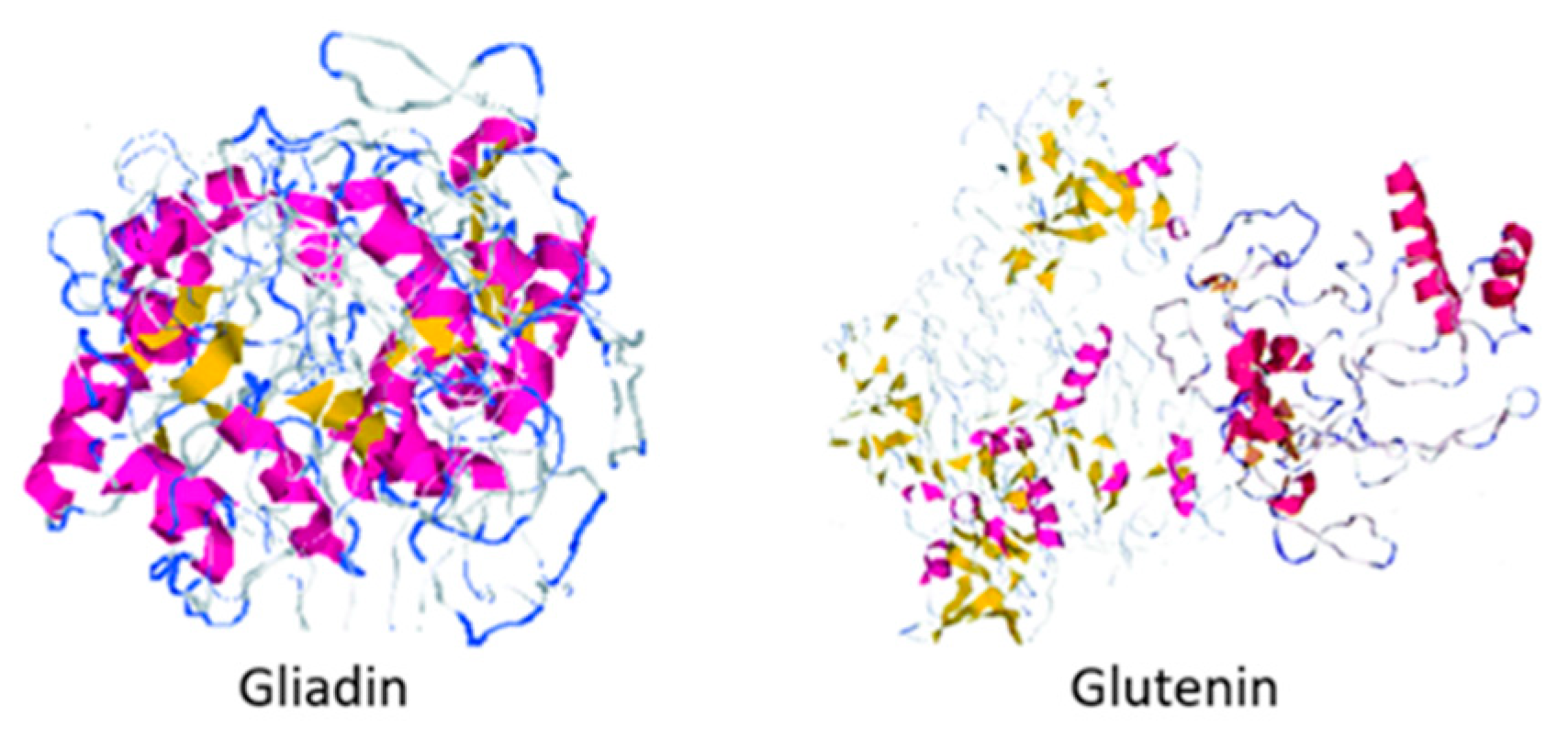 Foods | Free Full-Text | Methods for the Modification and Evaluation of  Cereal Proteins for the Substitution of Wheat Gluten in Dough Systems
